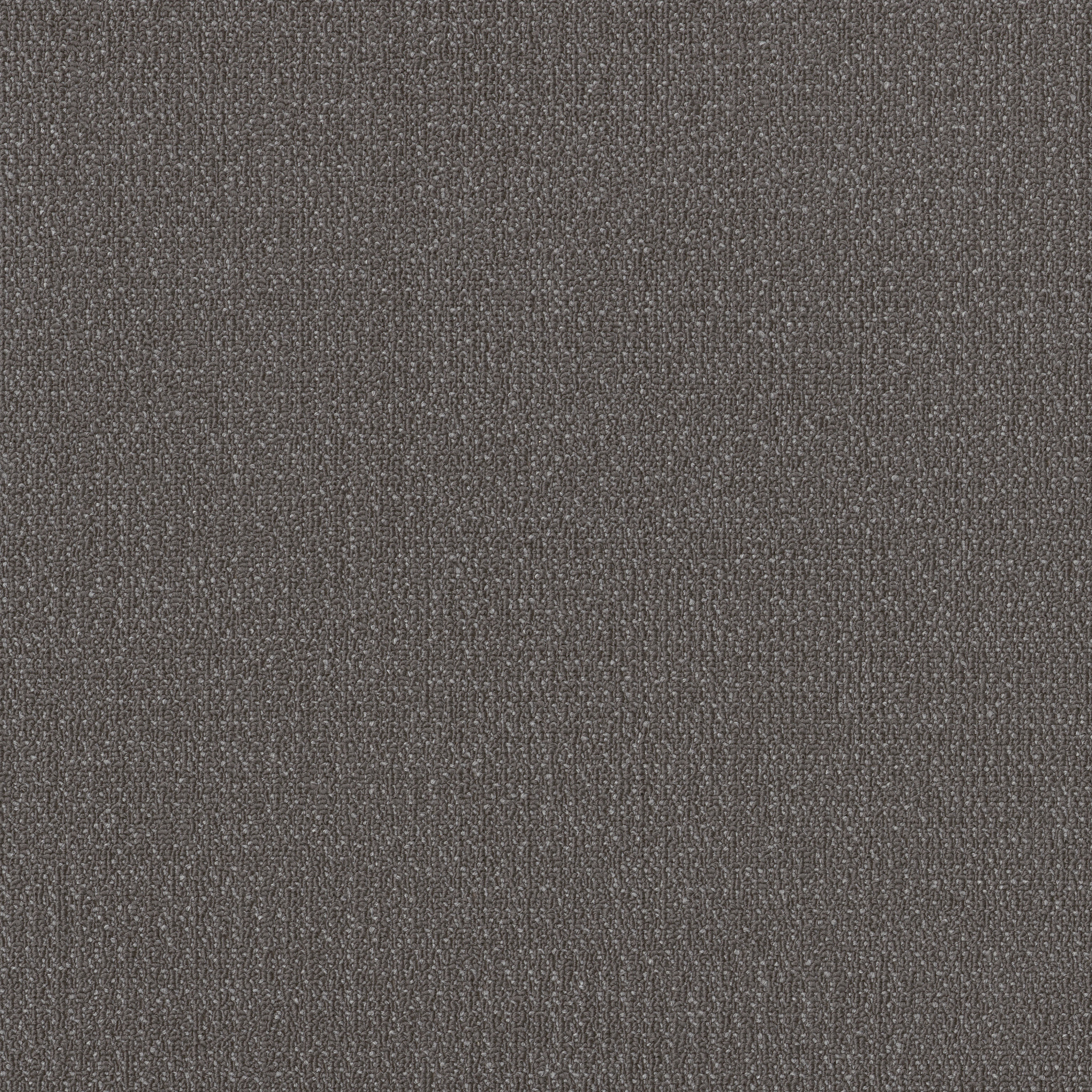 READAPT-54970-COMPOSE-00500-main-image