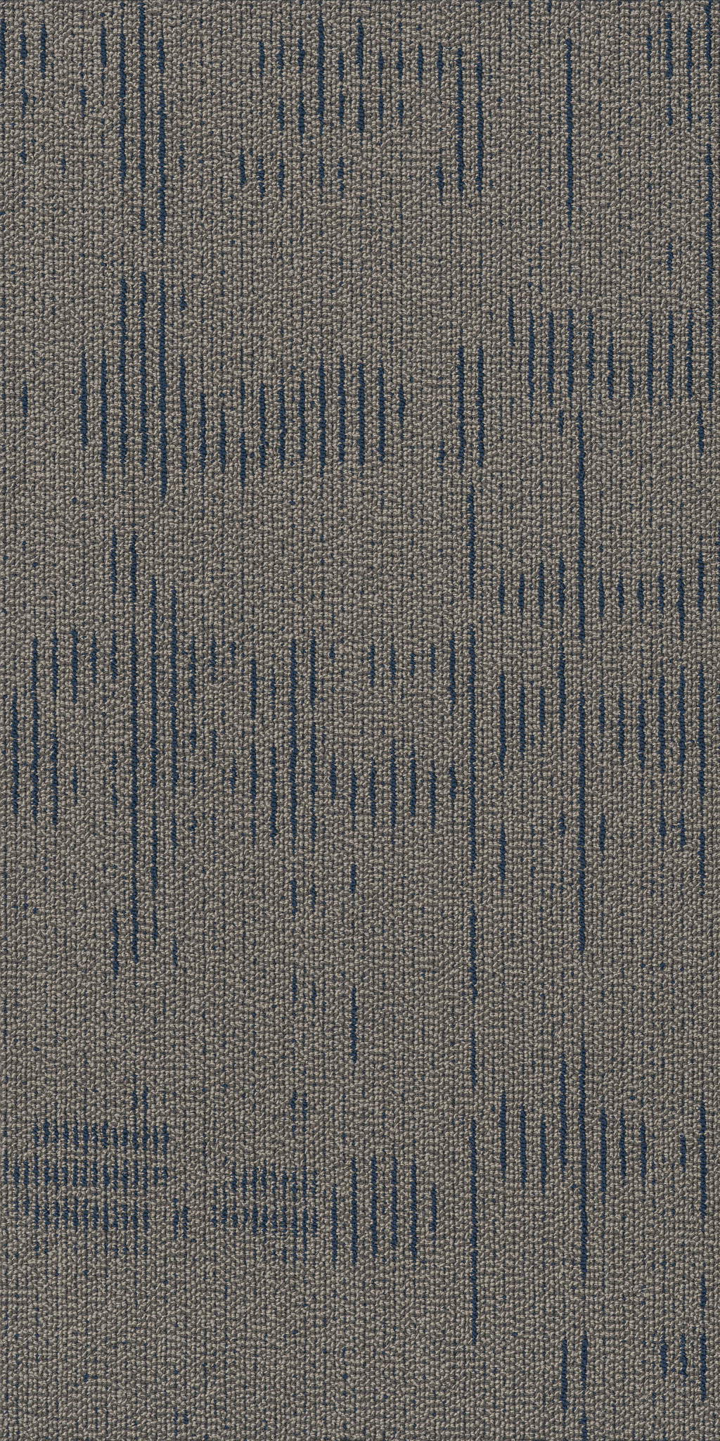 CURIOUS-WONDER-54940-WONDERMENT-40410-main-image