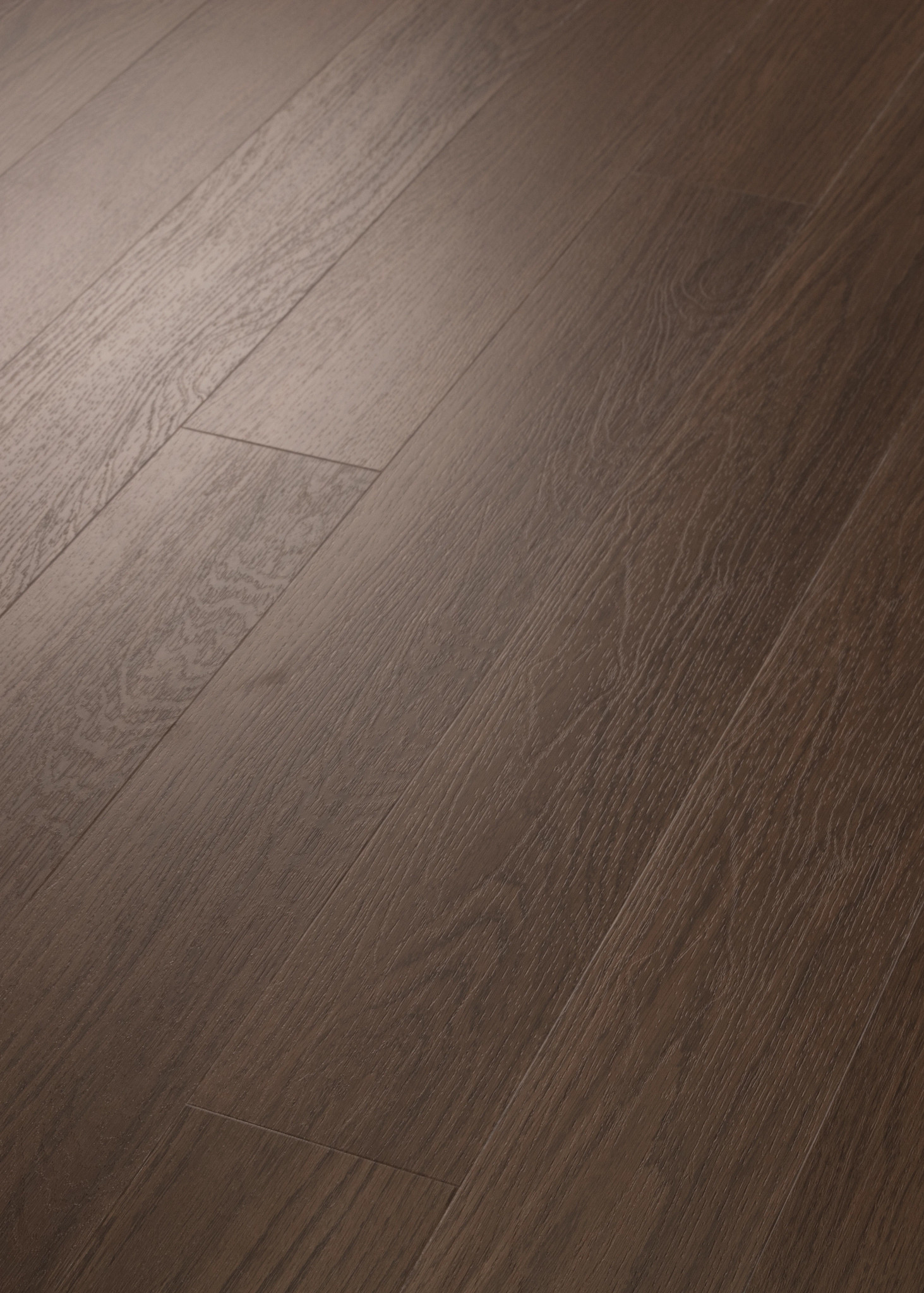 TRADITIONS CHOCOLATE OAK ANGLED