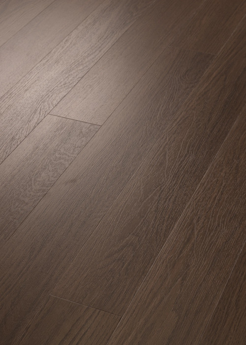 Chocolate Oak