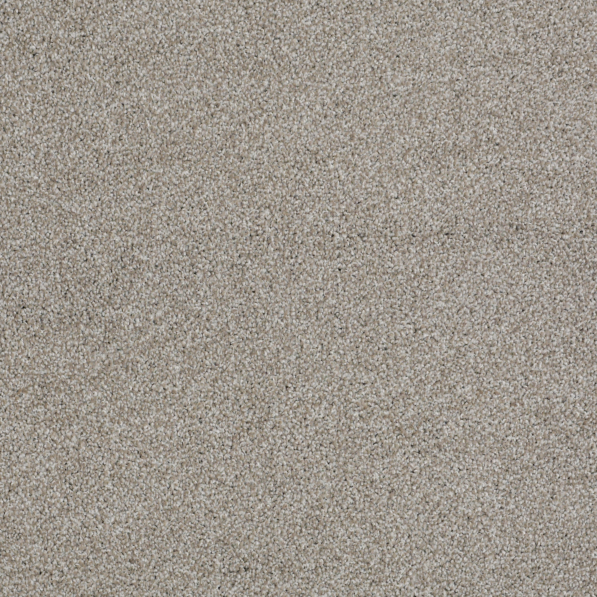 ALWAYS READY II CRYSTAL HAZE MAIN