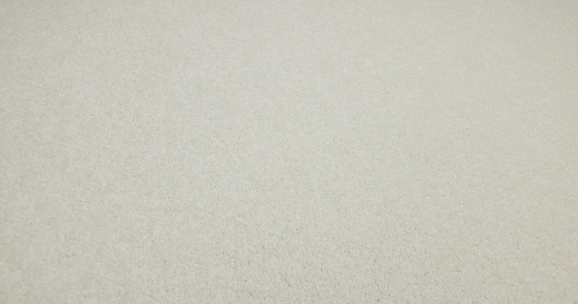 TIMELESS APPEAL I 12' SWEET CREAM 360PROD