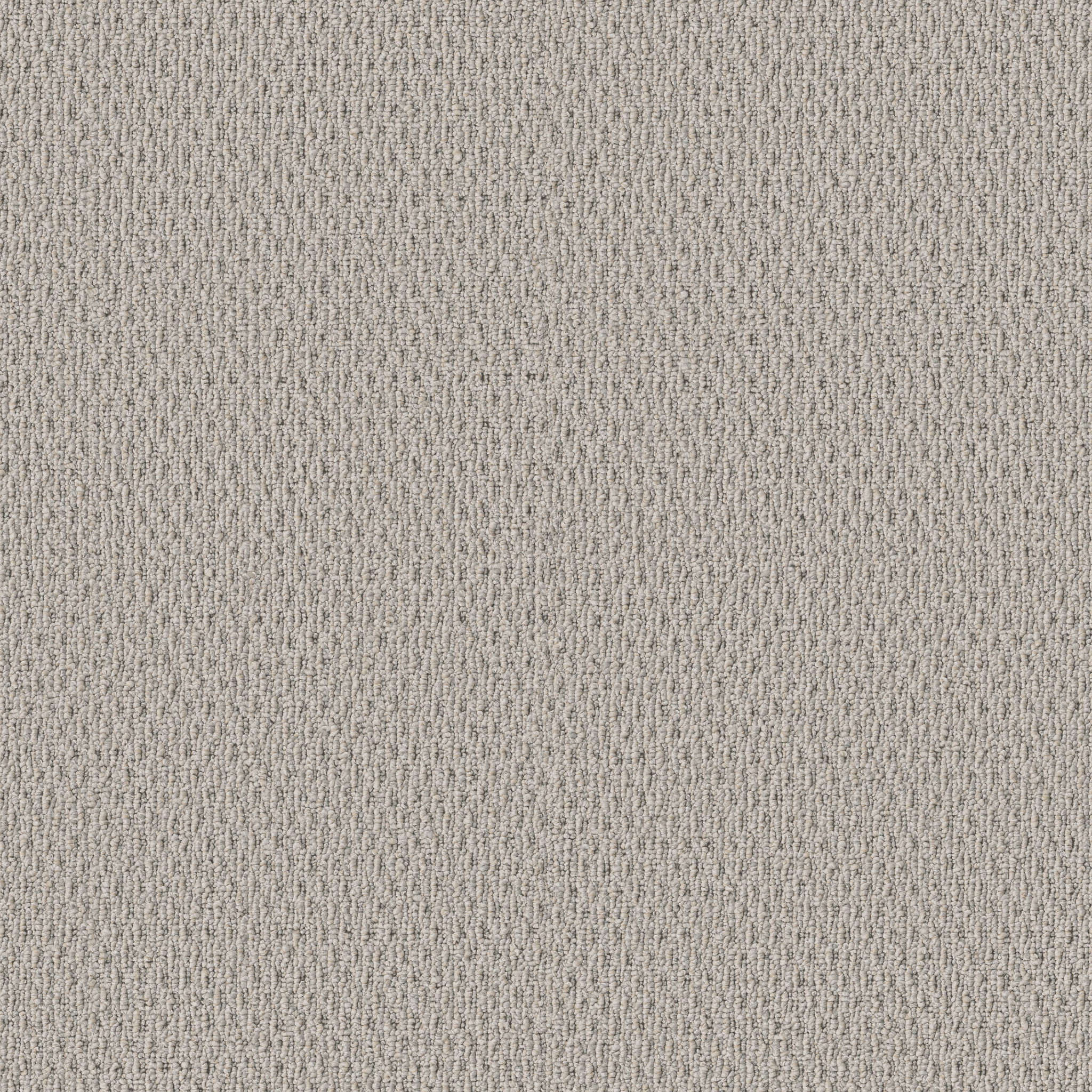 STONEBROOK SAND FOSSIL MAIN