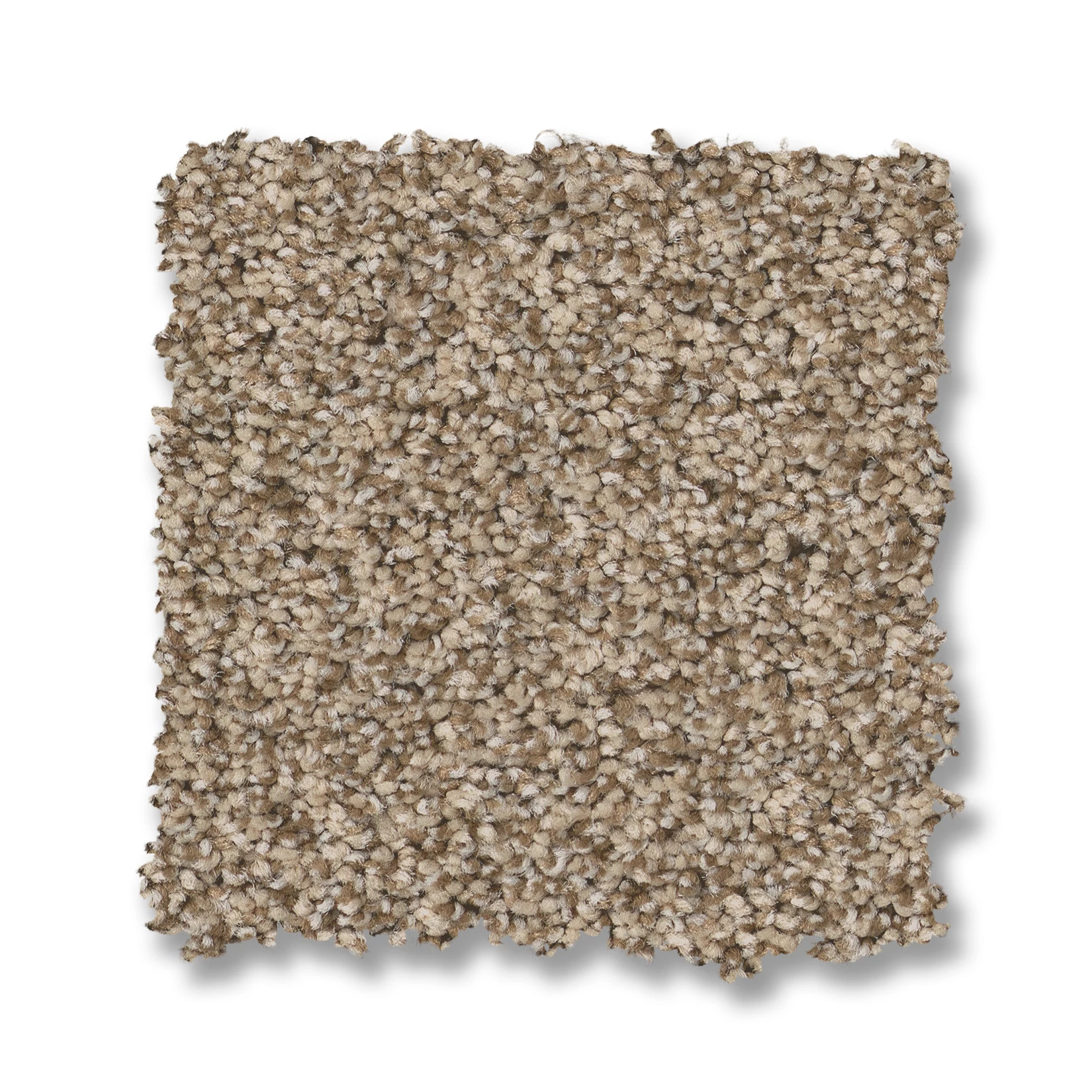 FABULOUS SUGAR COOKIE SWATCH