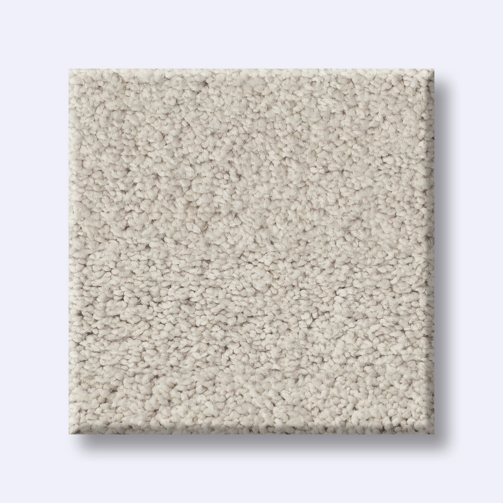 QUIET COMFORT CLASSIC II CCB97 - 00103 | Shaw Floors QUIET COMFORT CLASSIC II CCB97 - 00103 | Shaw Floors