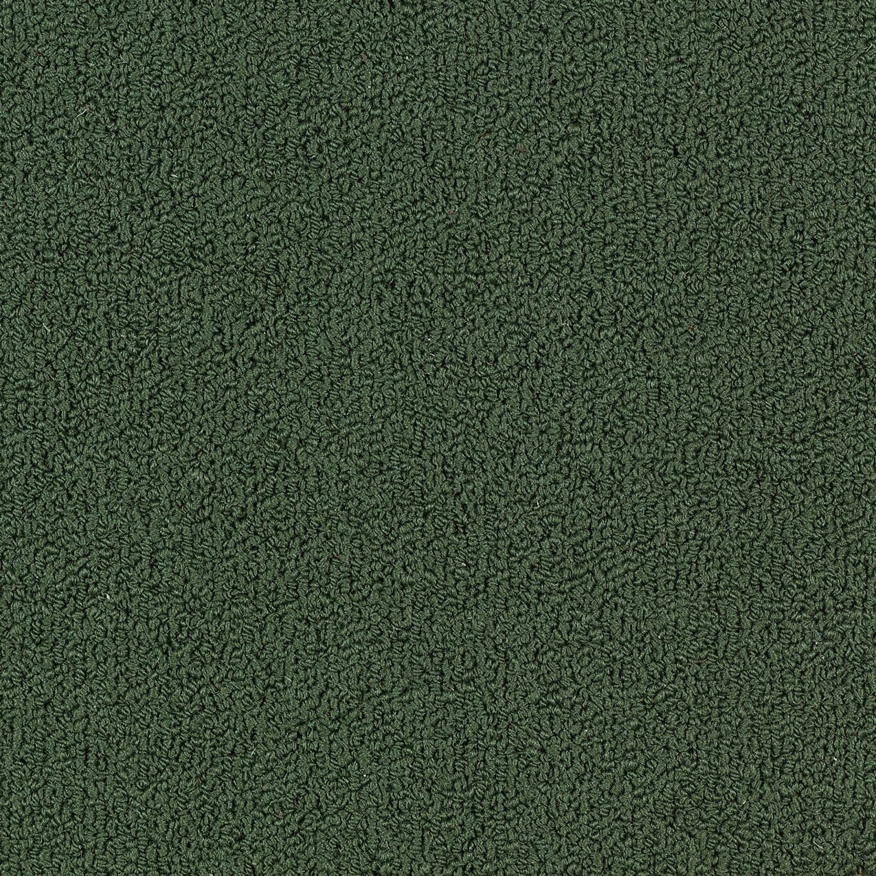 COLOR-ACCENTS-BL-54584-CYPRUS-62321-main-image