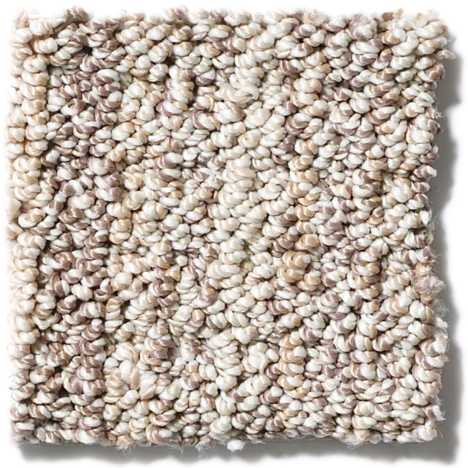 SUNDANCE WINTER OAK SWATCH