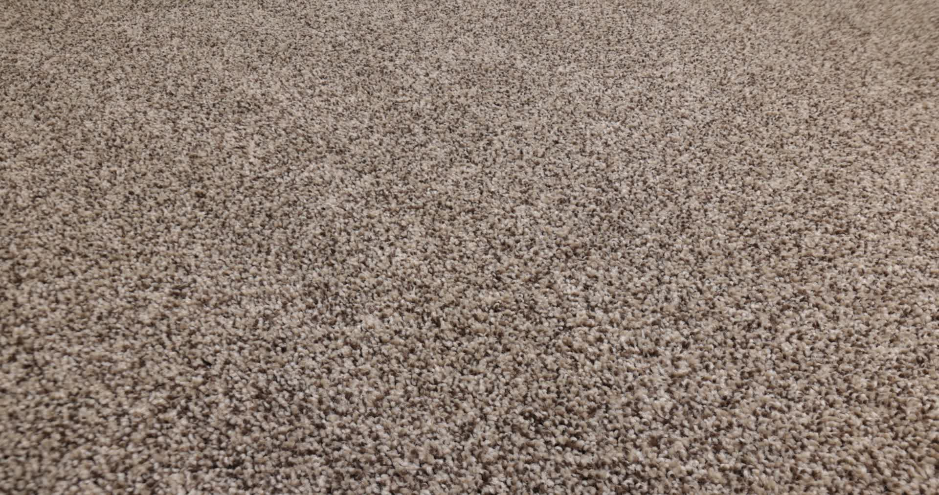 TERRA NOVA PALM DESERT 360PROD