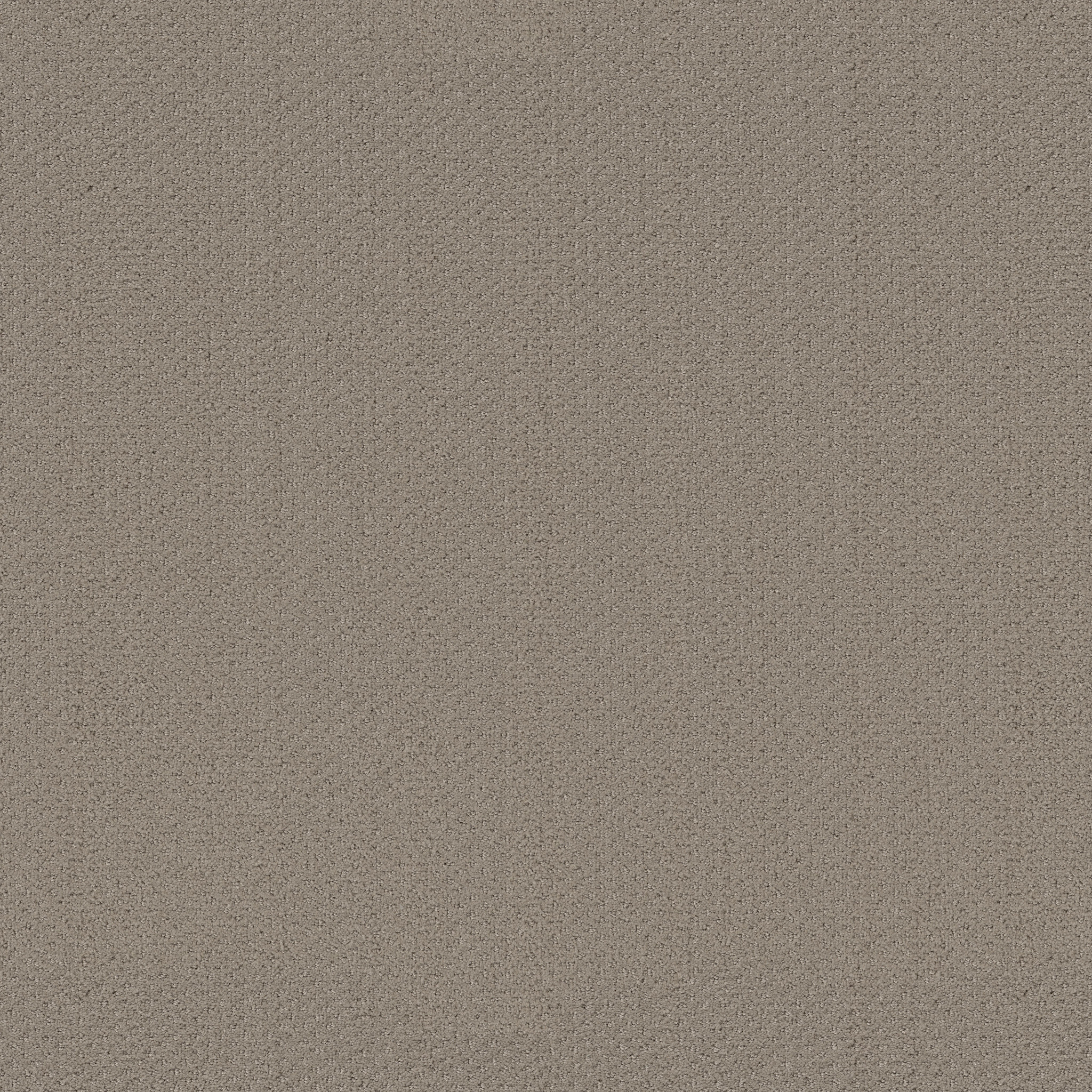 INFALLIBLE INSTINCT PARK AVENUE MAIN