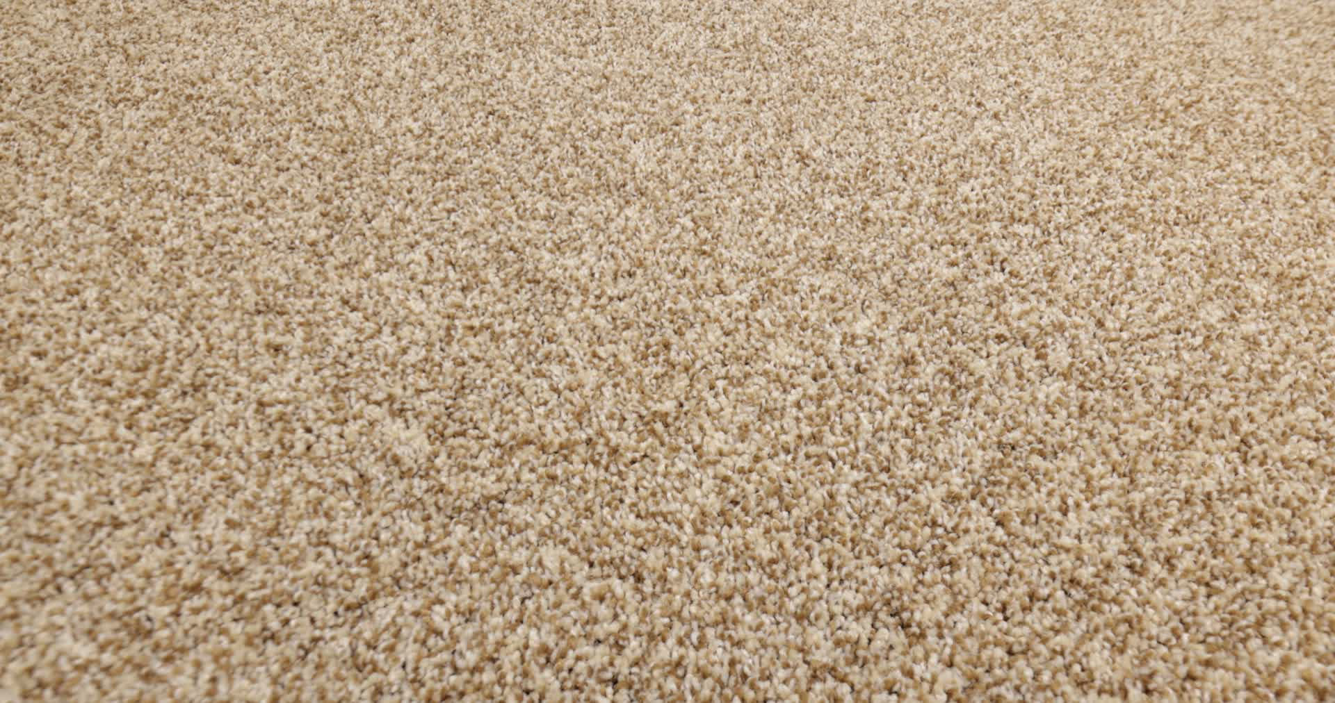 VIA NOVA HAZEL 360PROD