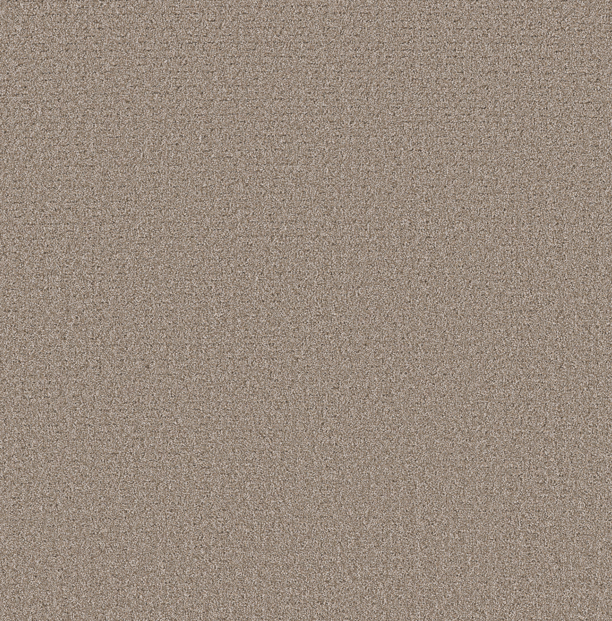 SECRET JOURNEY MOCHA MAIN