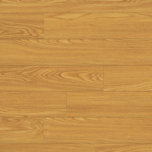 Rocky Mountain Oak