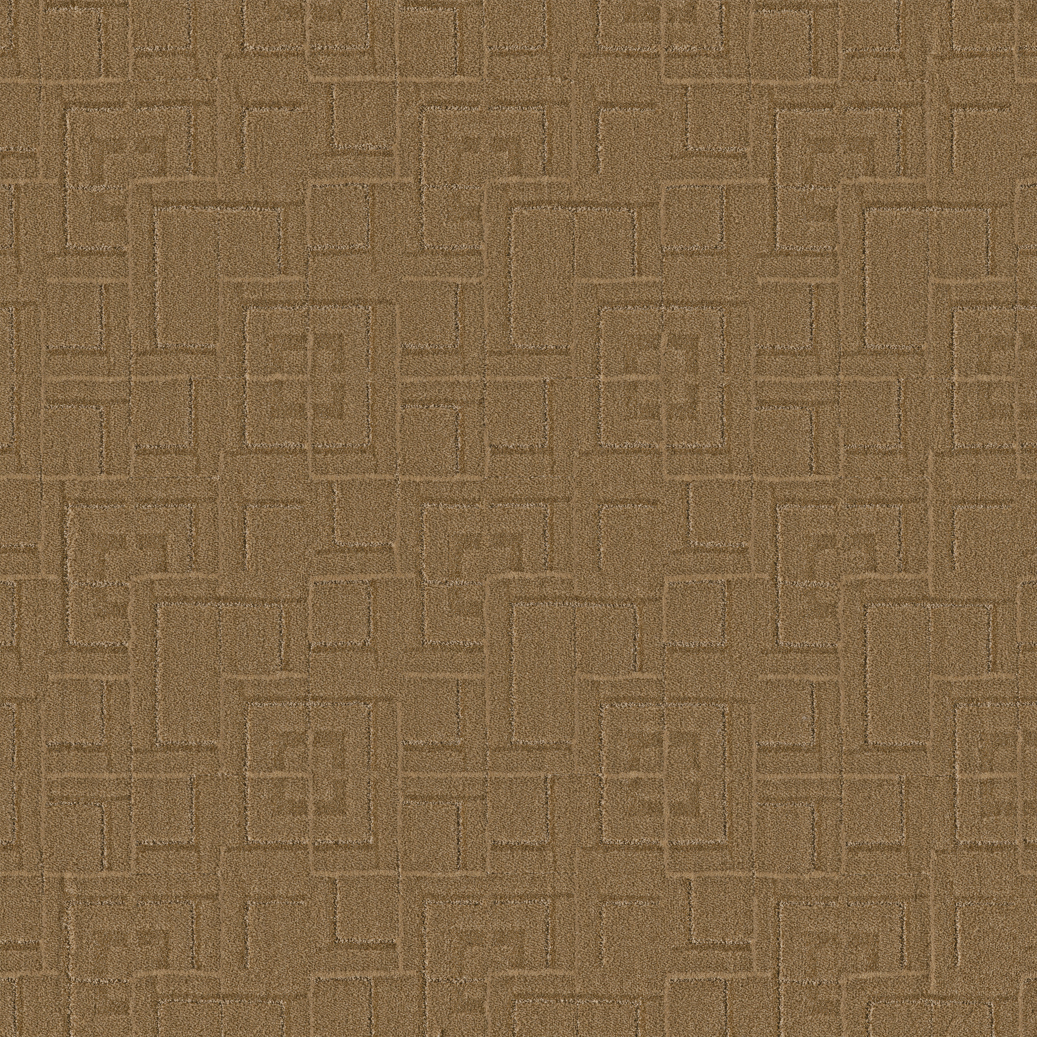 PATH AMBER WAVES MAIN