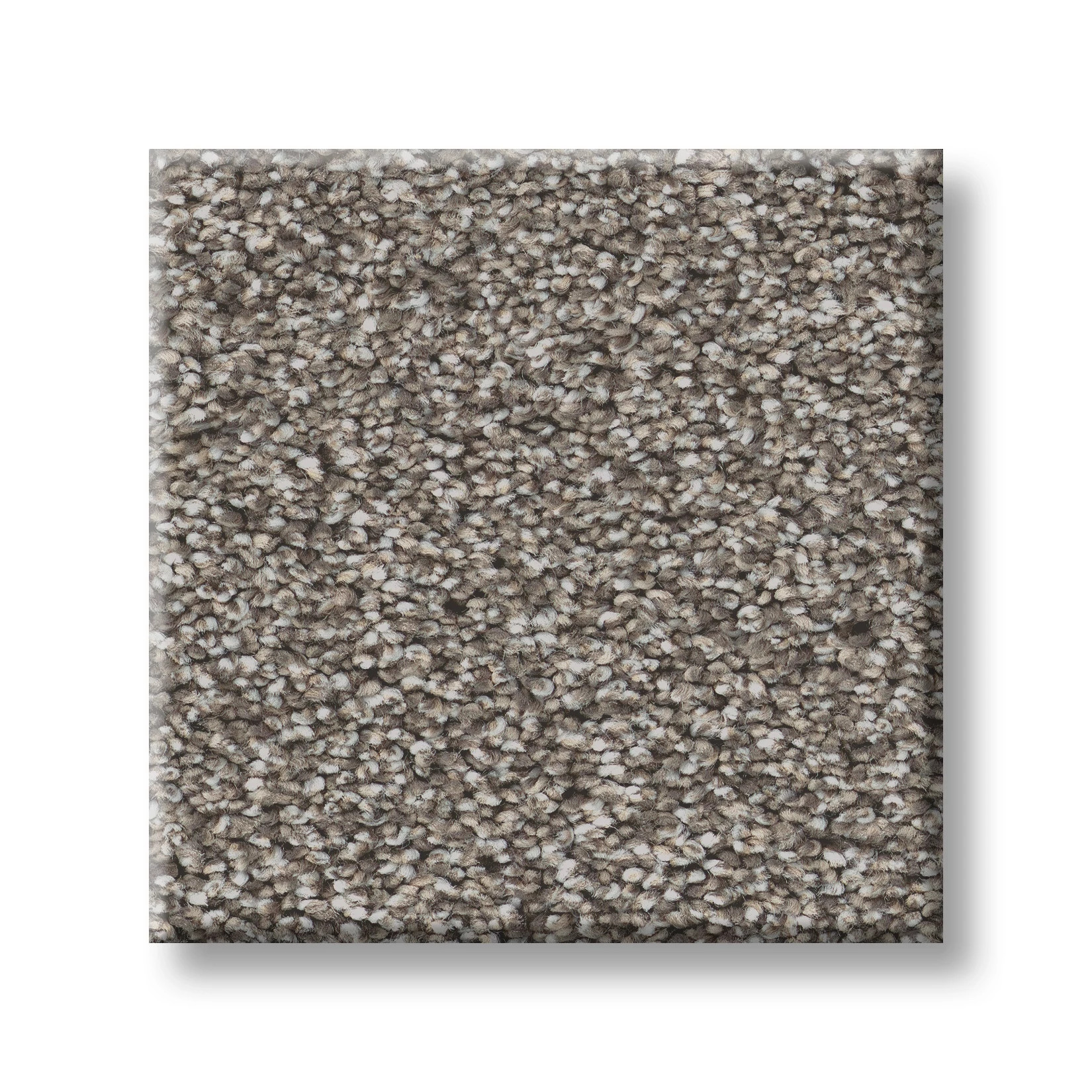 TIMELESS TONE NIGHT OWL SWATCH