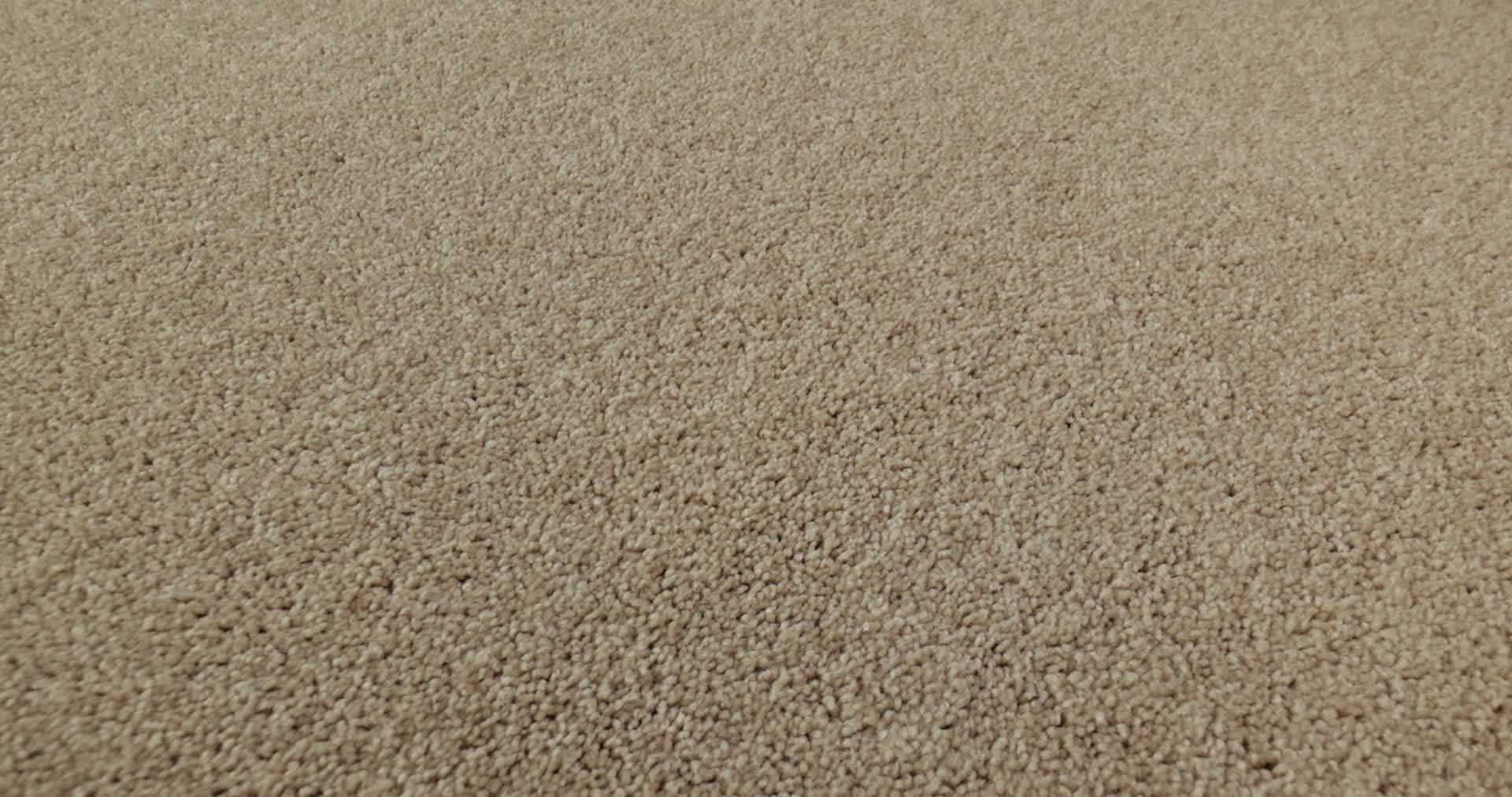 ESSAY II 12' SAND DOLLAR 360PROD