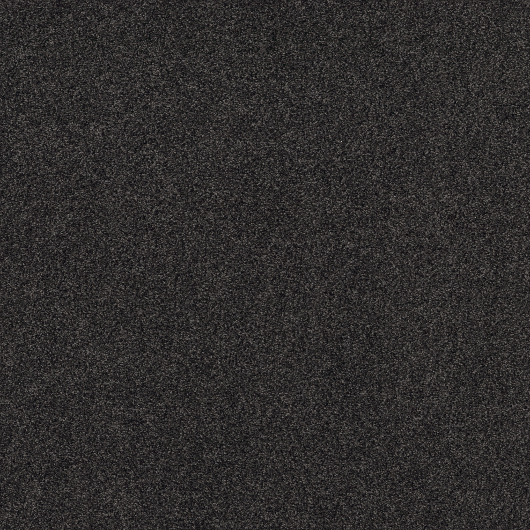 COZY HARBOR I WROUGHT IRON MAIN