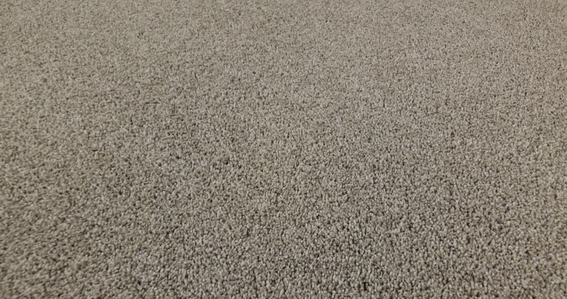 TIMELESS TONE PEBBLE PATH 360PROD