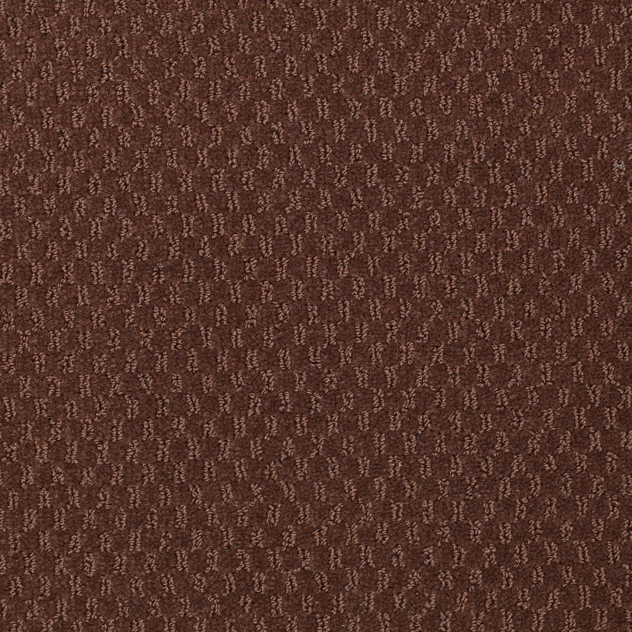 ELEMENTS-Q0421-CHATTER-BOX-21701-main-image