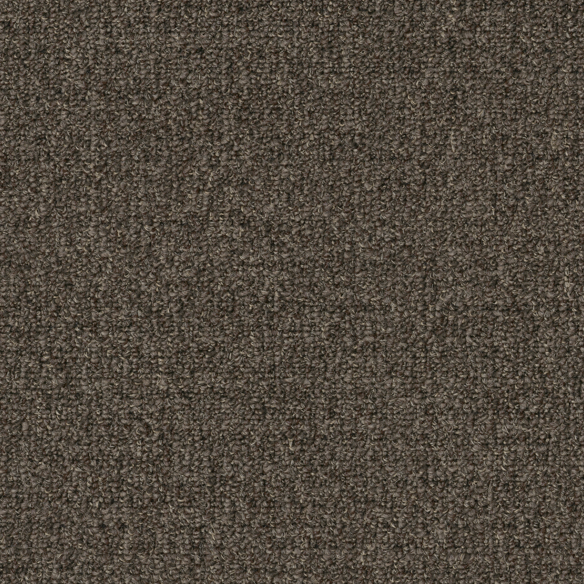 GARDENSCAPE-(T)-54629-BURNT-BARK-00701-main-image