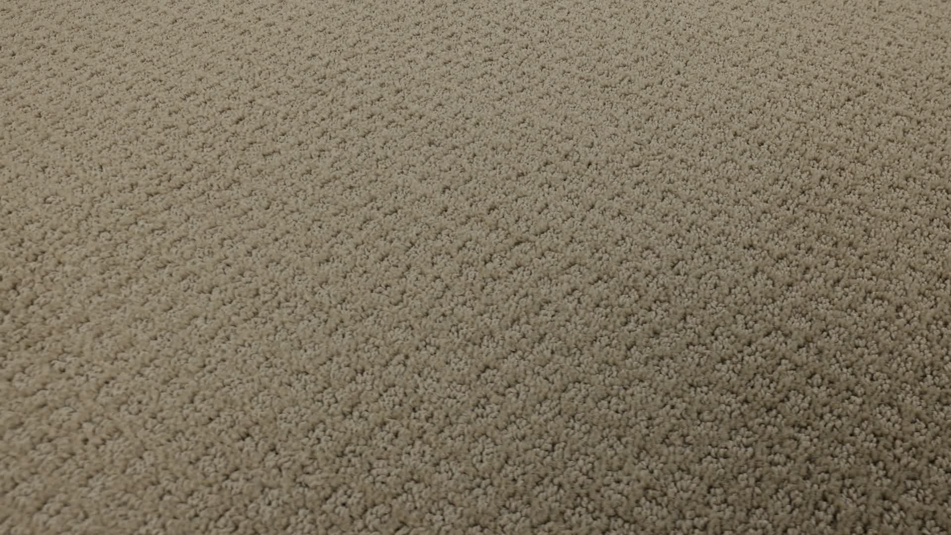 GAINEY RANCH SABLE 360PROD