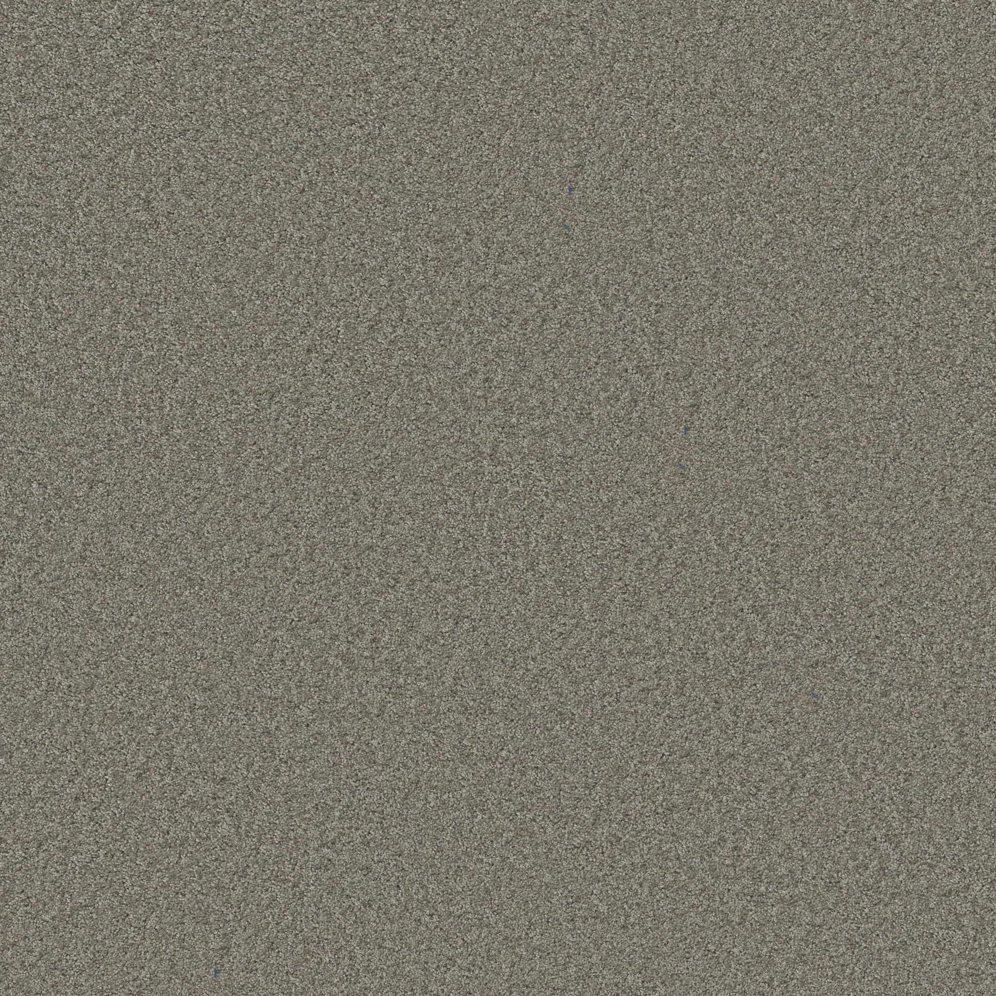 MAKE IT YOURS (S) PEWTER SOLID MAIN