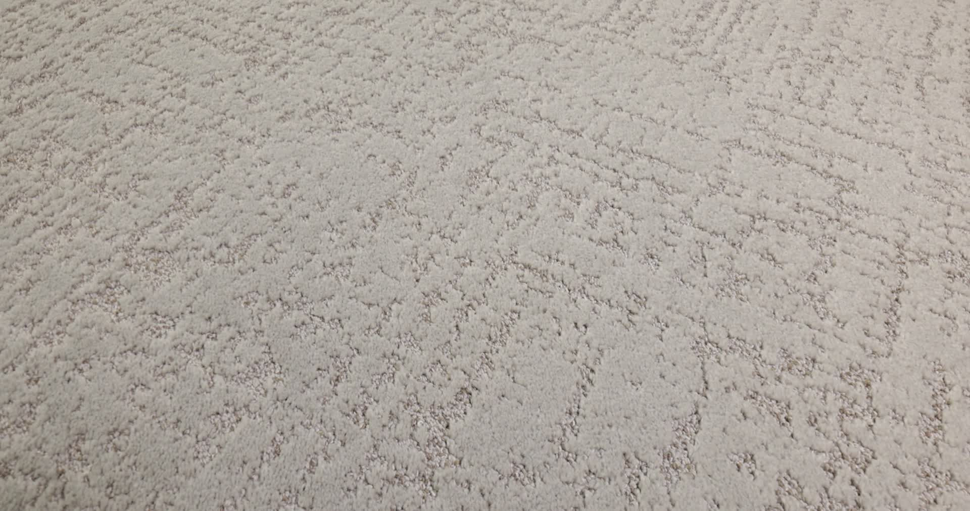 SINCERE FOCUS PLASTER 360PROD