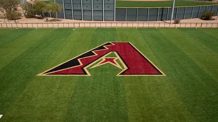 Arizona Diamondbacks artificial grass field with logo Artificial turf field with Arizona Diamondbacks logo