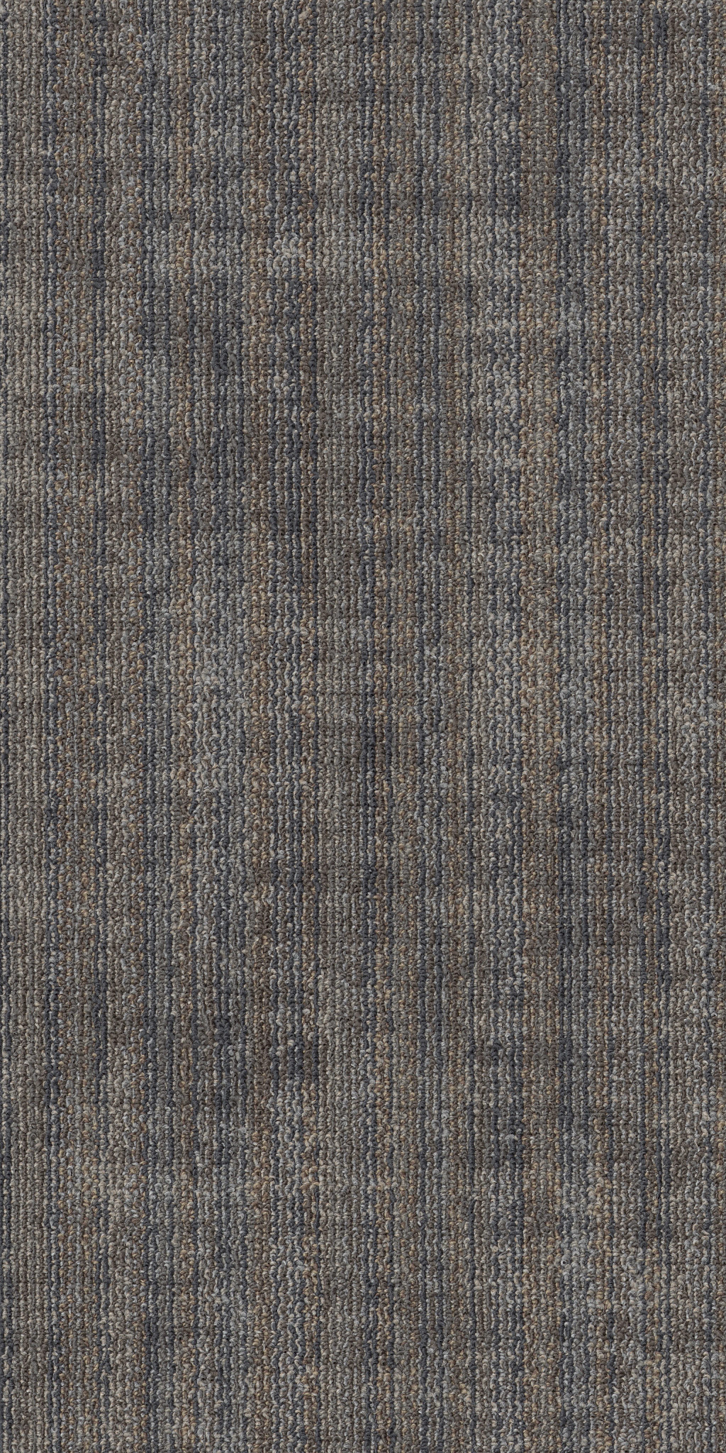 TERRENA-TL-55010-DWELLING-00510-main-image