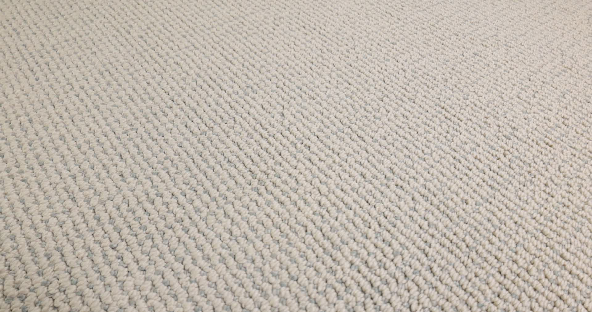 PURRFECTION CHAMPAGNE 360PROD