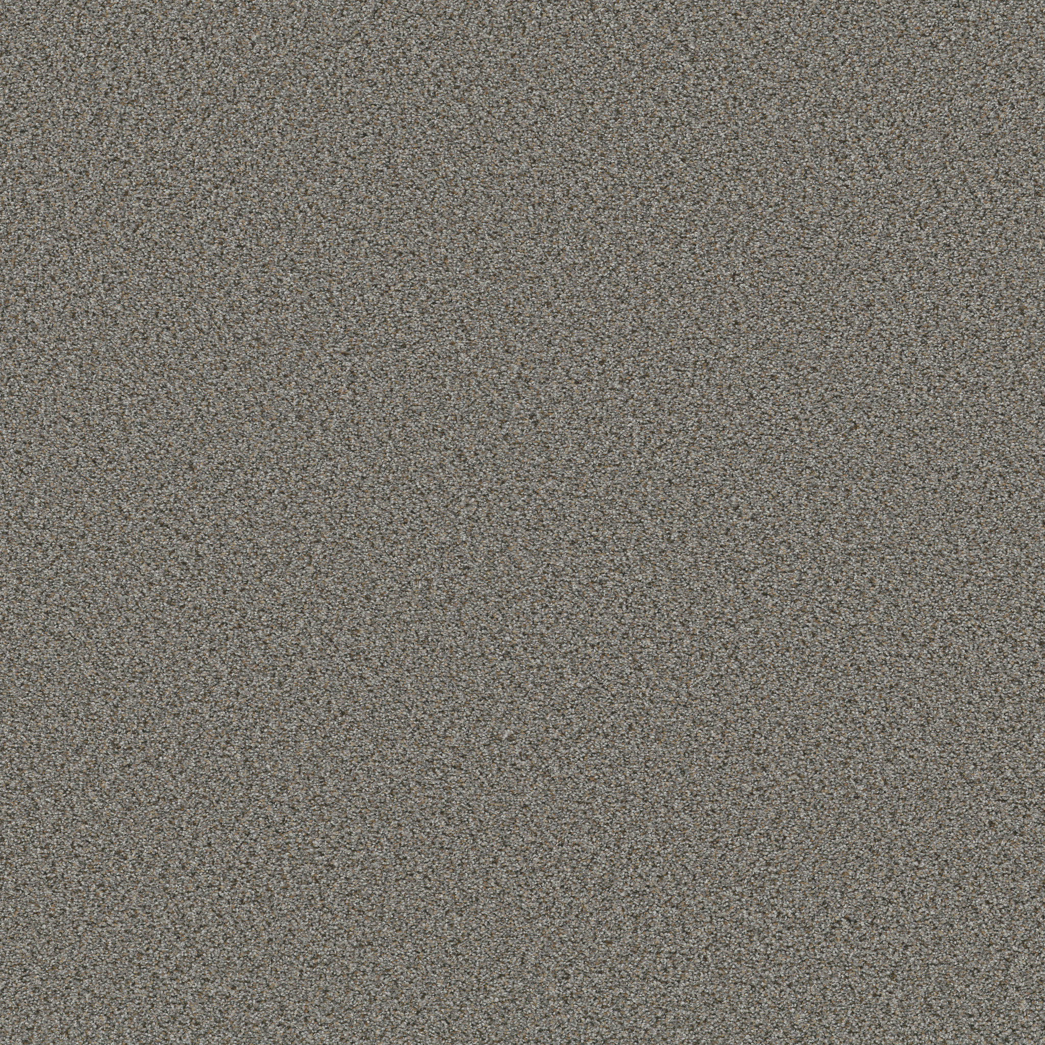 STRANDS OF NATURE I ANTIQUE PIN MAIN