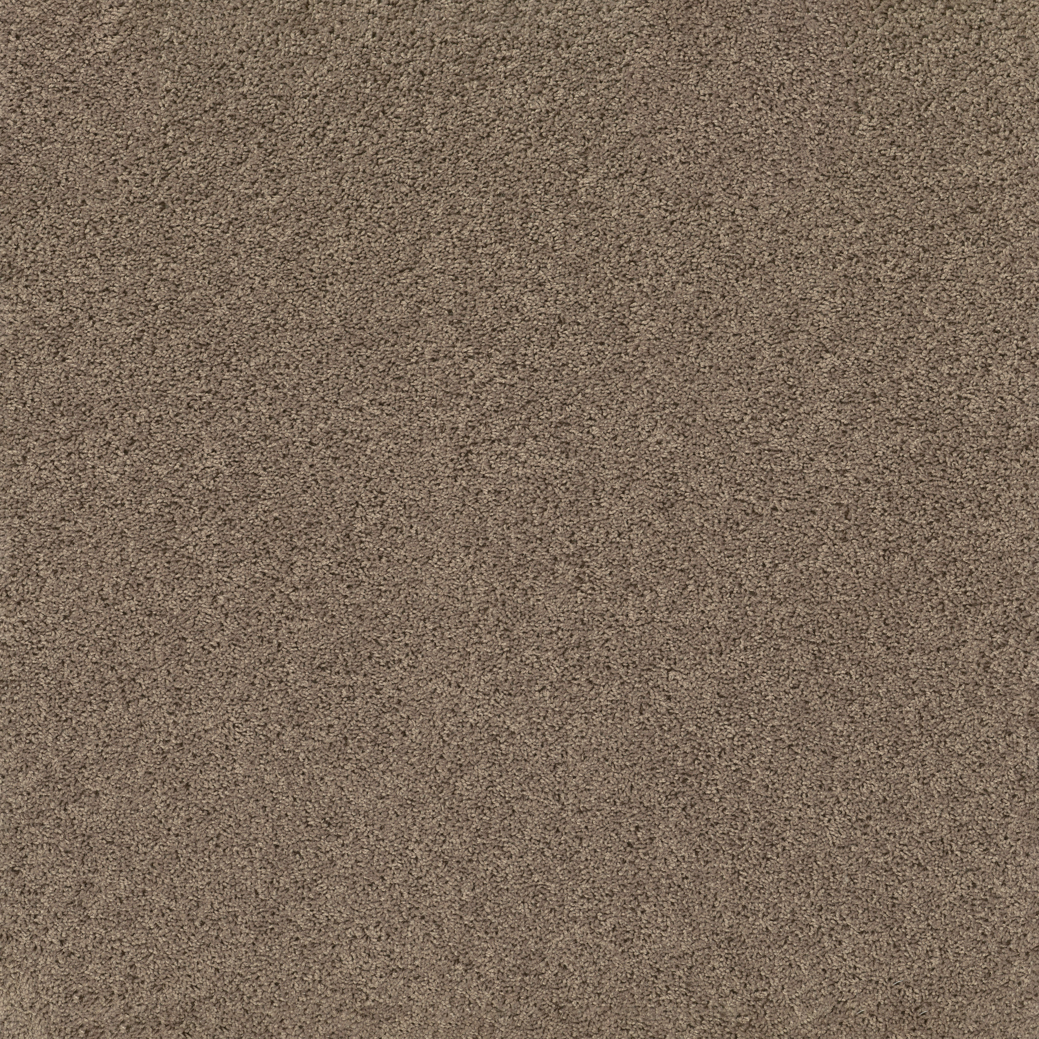 BREAK AWAY - SOLID NATURAL TAN MAIN