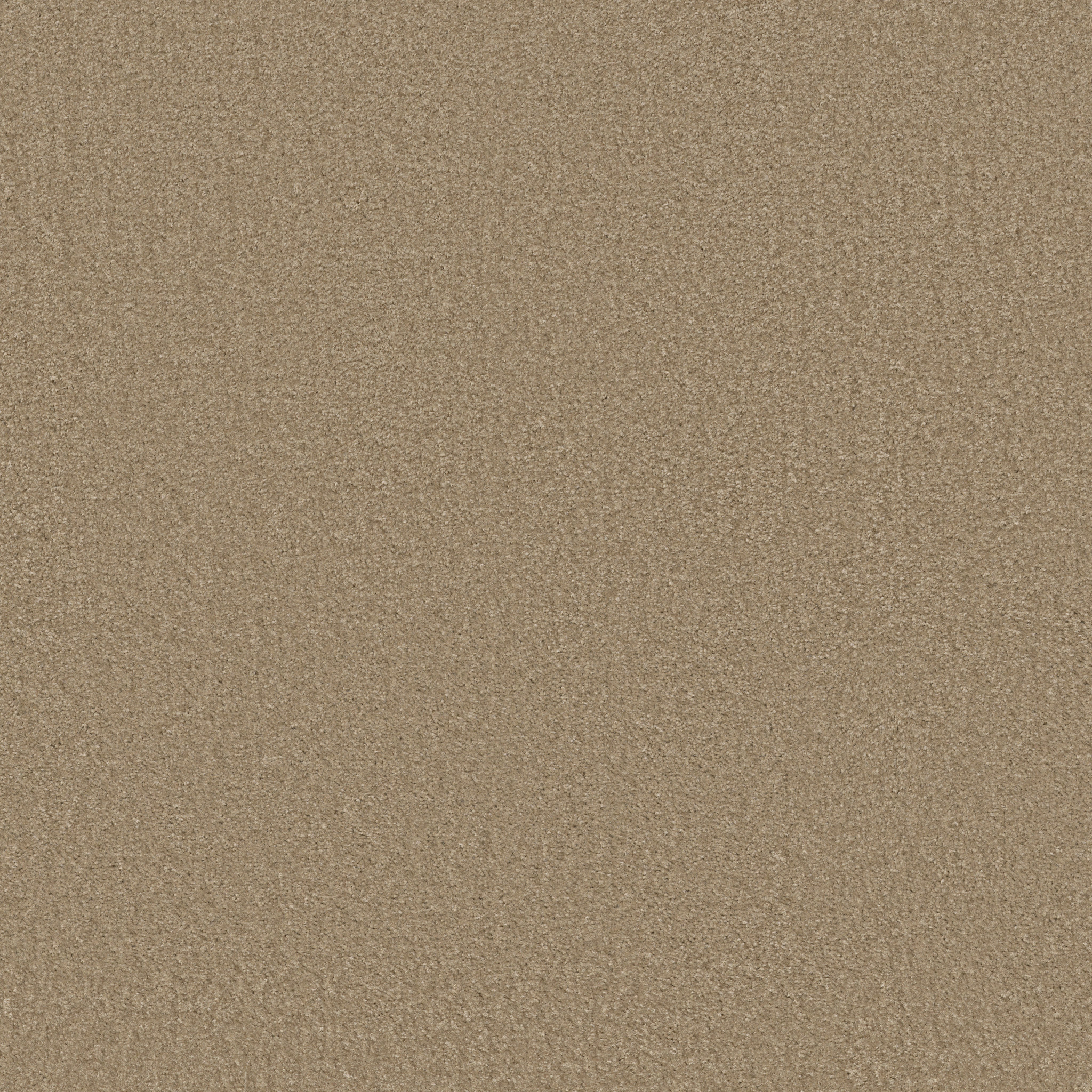 SPRINTER TREE TRUNK MAIN