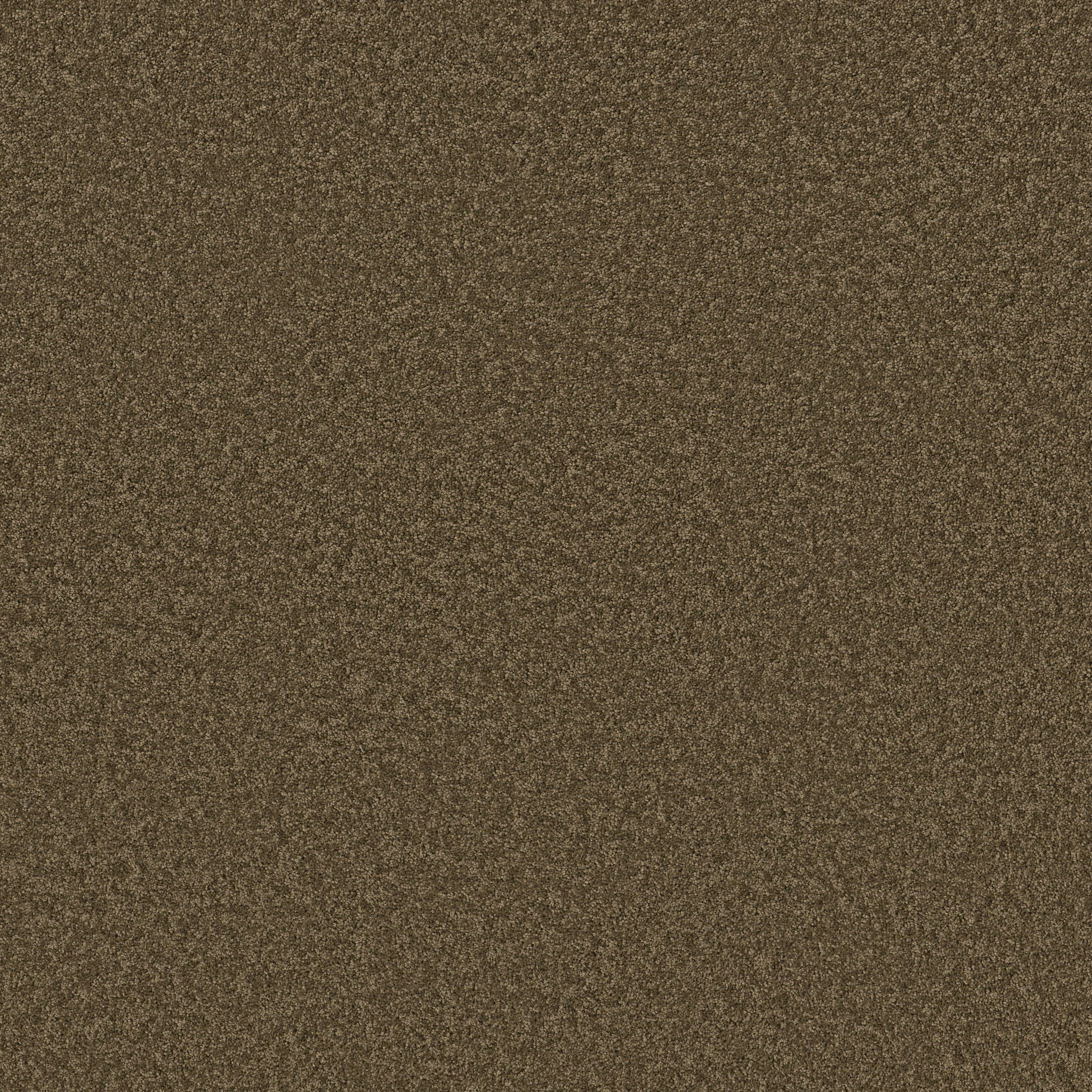 LAGUNA BEACH SEDONA MAIN