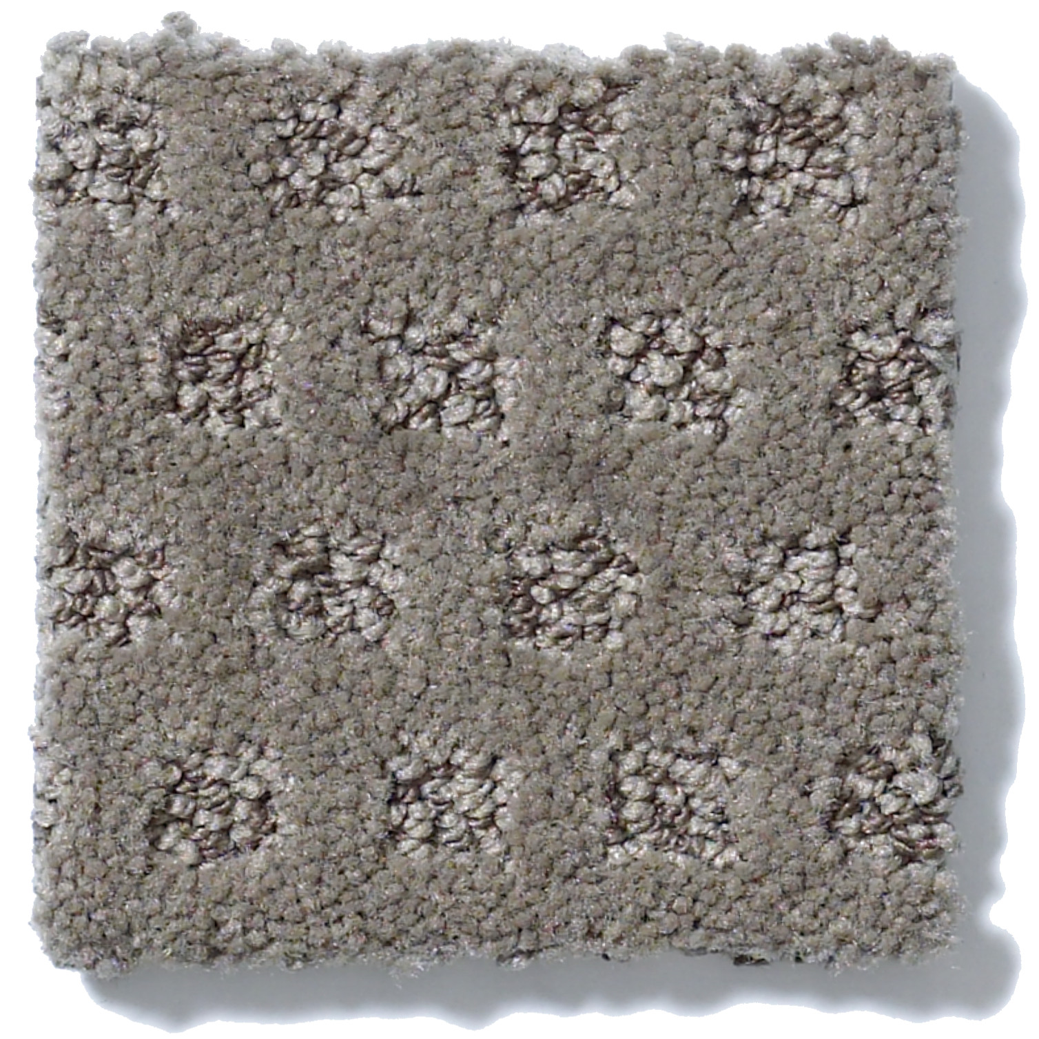 MY EXPRESSION ESSEX SWATCH