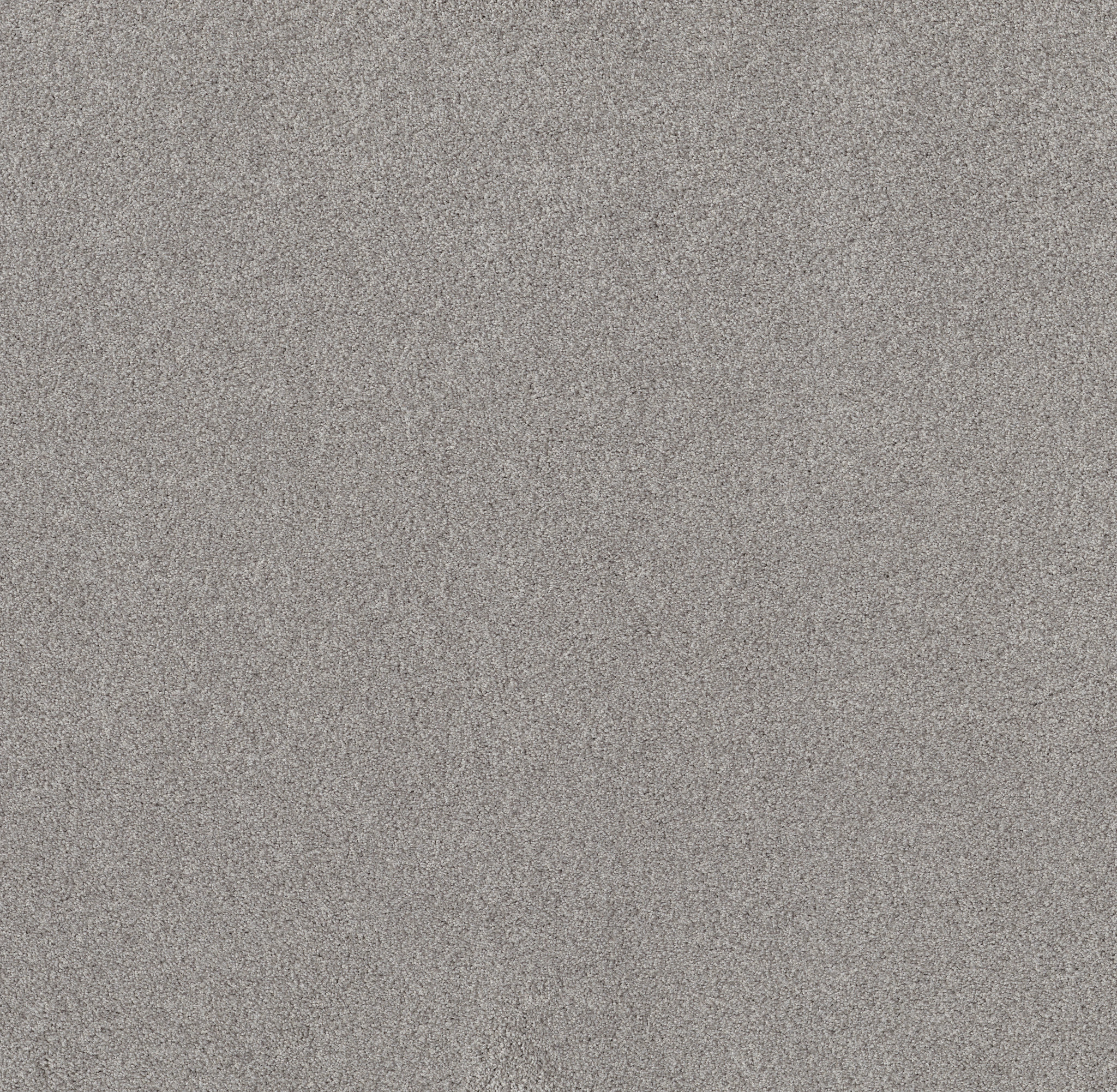 Live on Comfort SPOTLIGHT MAIN