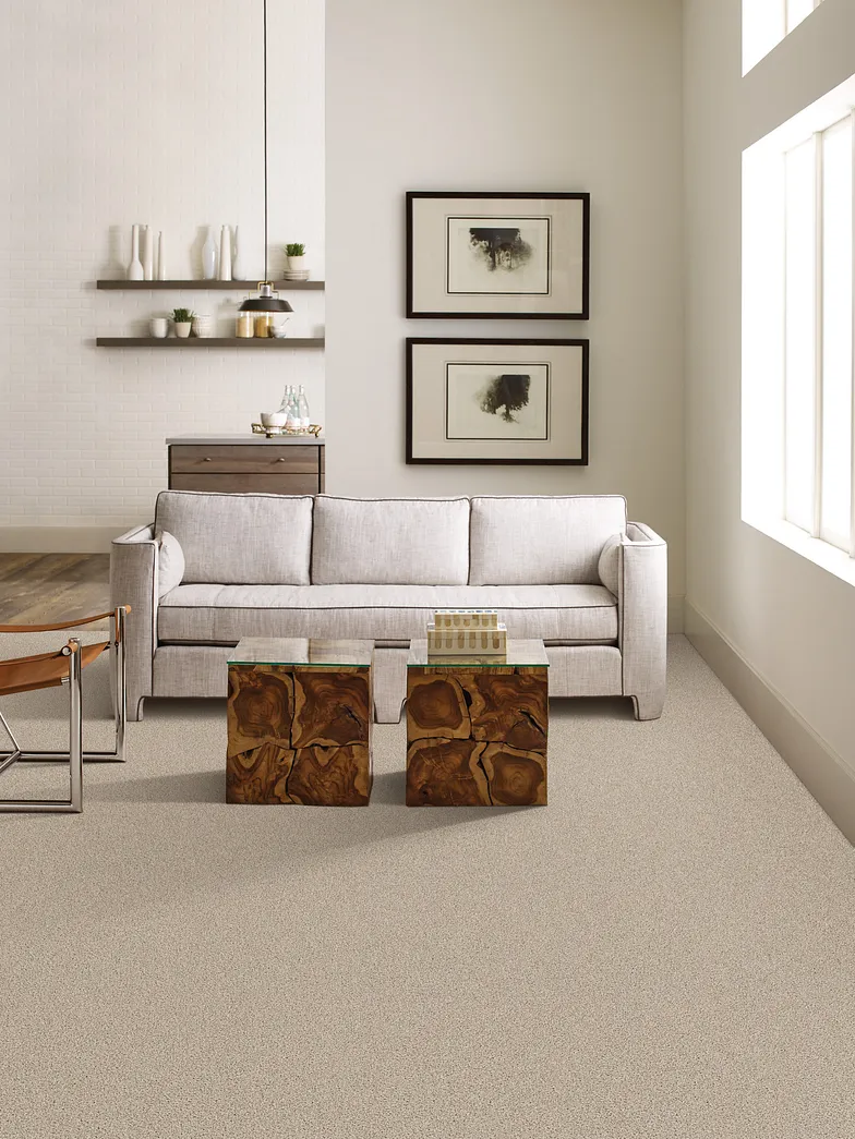 Shaw Builder SF Carpet, Commanding Solid PS807 Beach 00112 In A Living Room