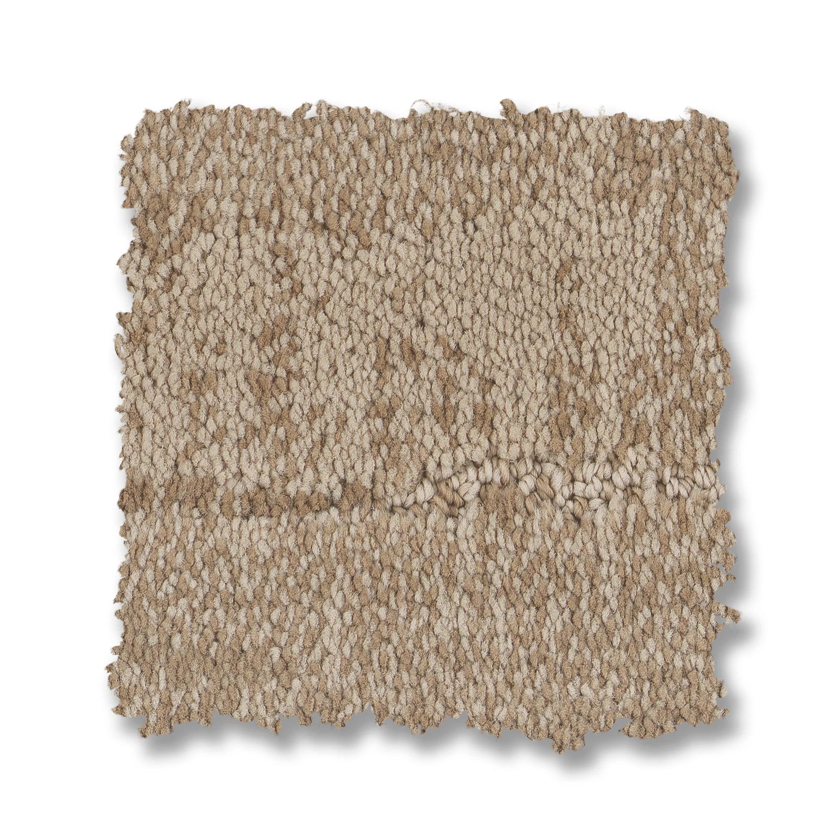 ARBOR GRAIN SWATCH
