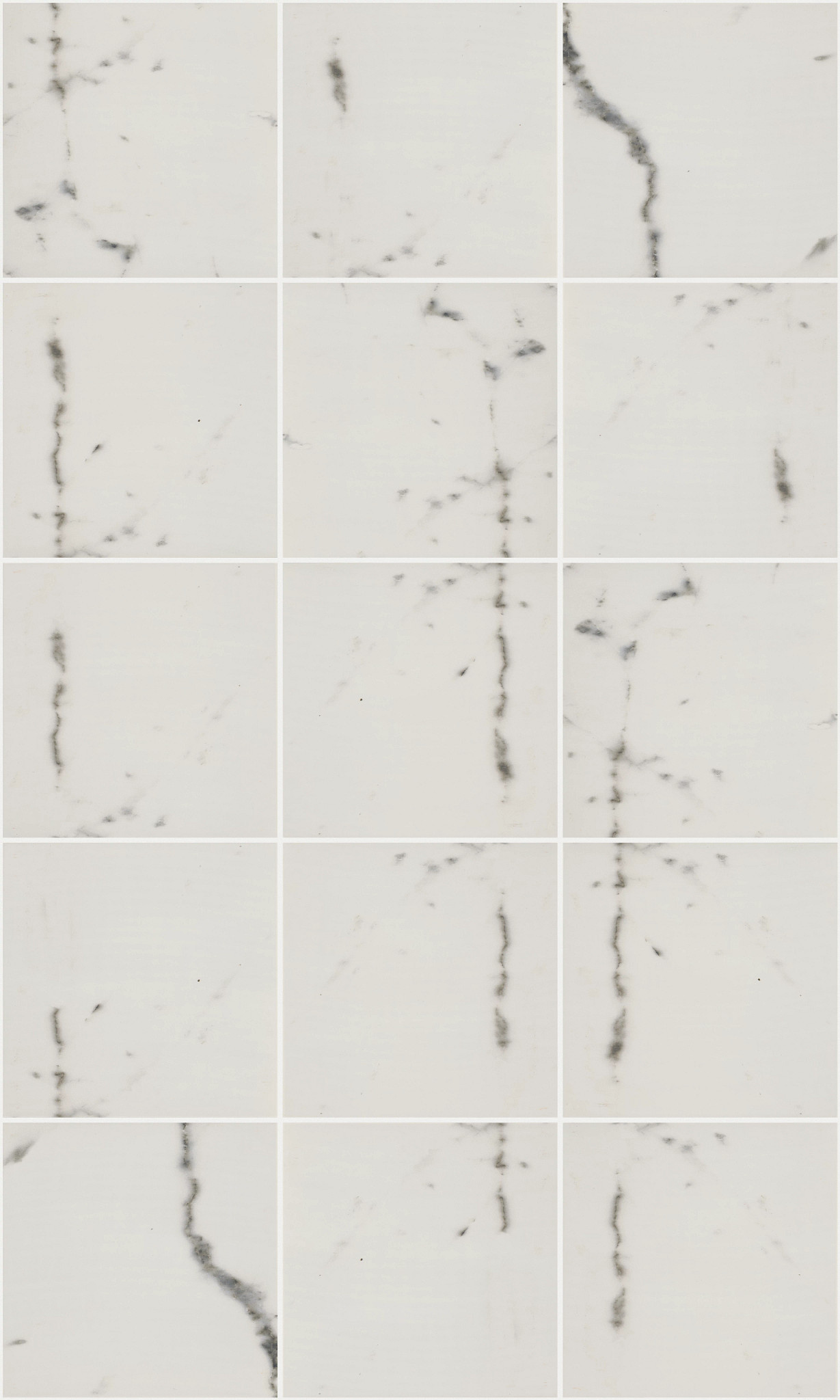Reページ Shaw Imagine Carpet Tile Reset 24
