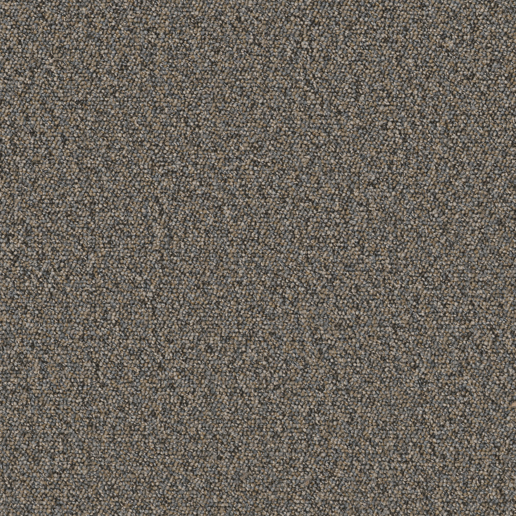 AVENUE-54989-JACKSON-00502-main-image