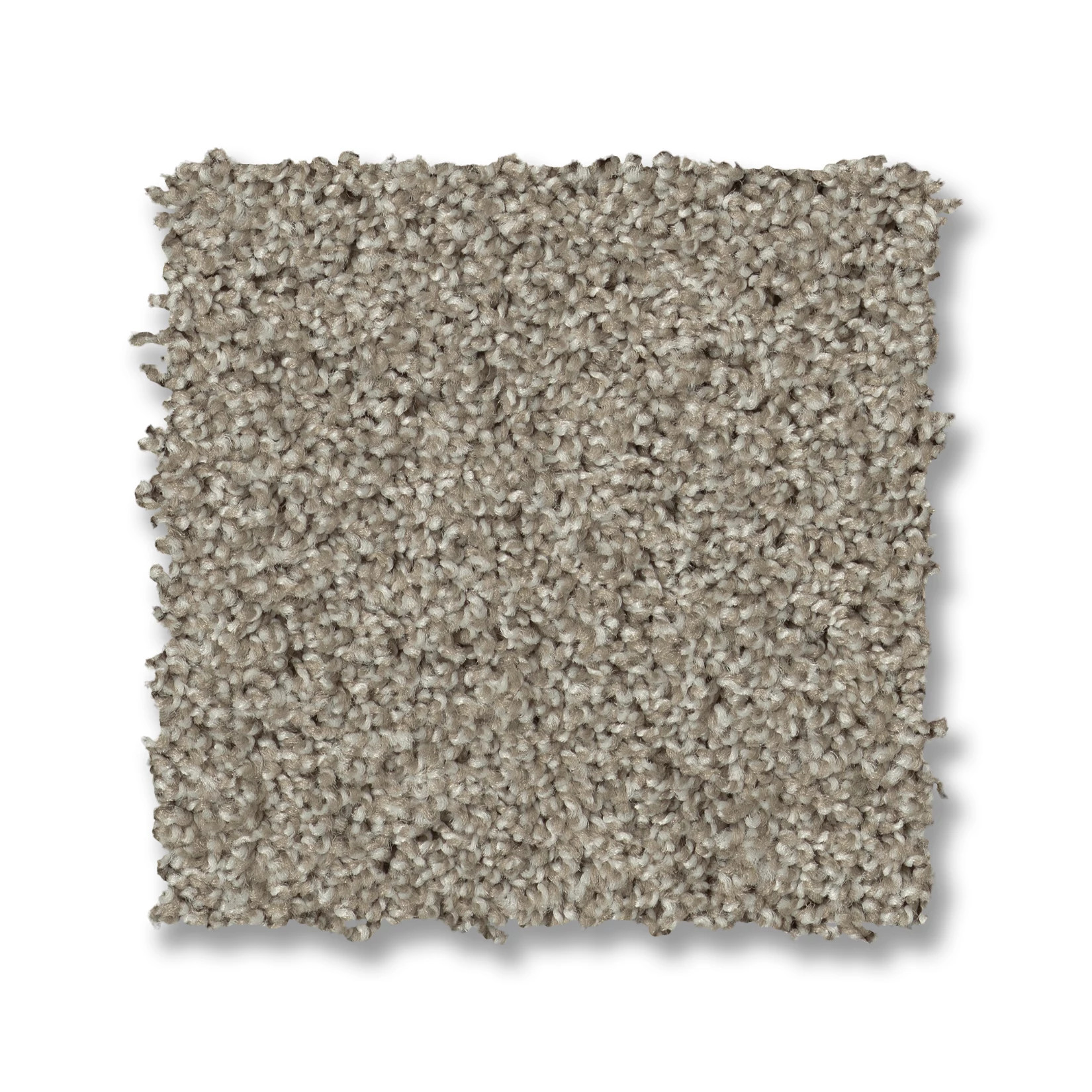 PARK HAVEN SHADOW SWATCH