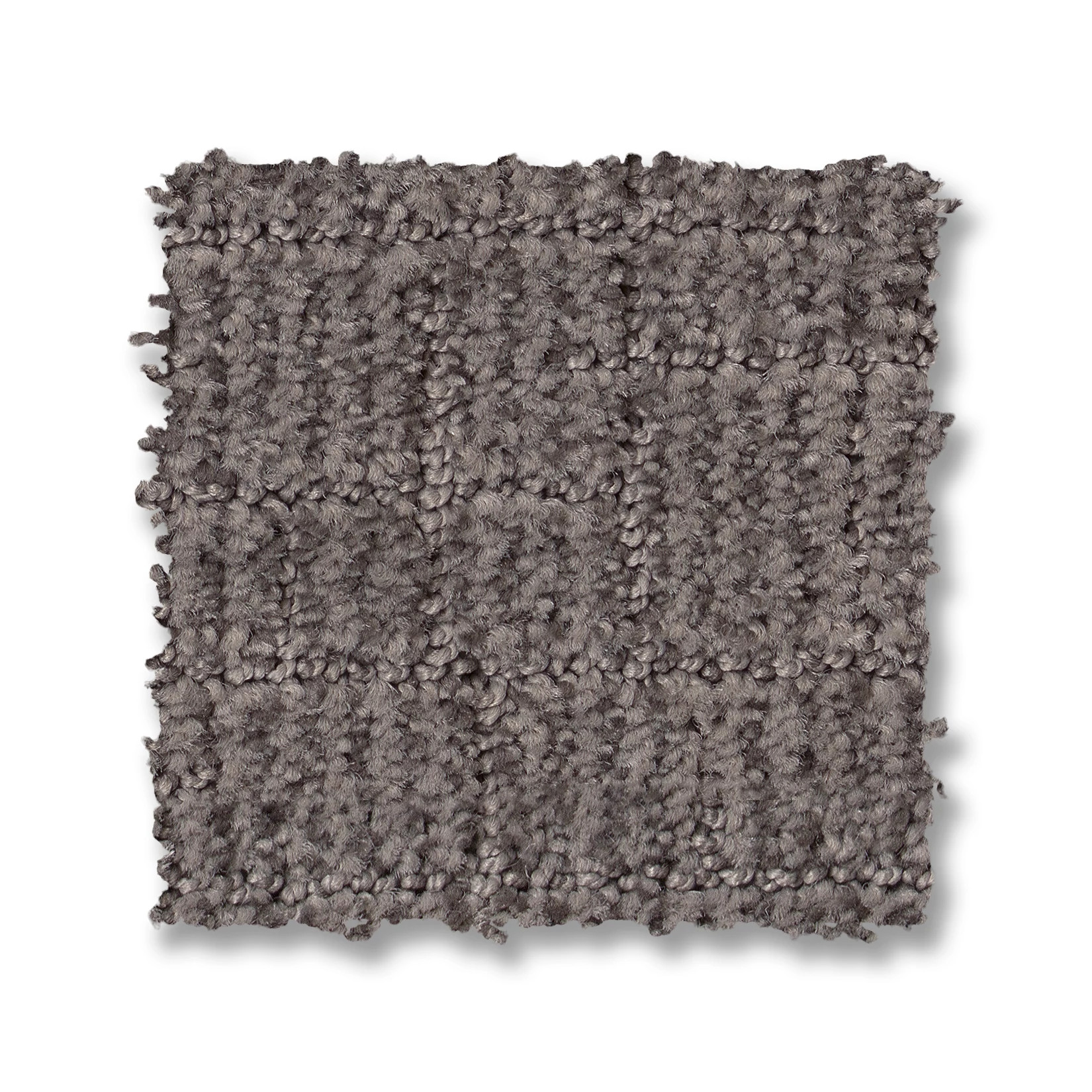 WAYFARER PORTLAND SWATCH