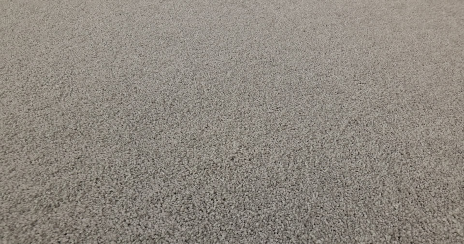 BASIC RULES PLATINUM 360PROD