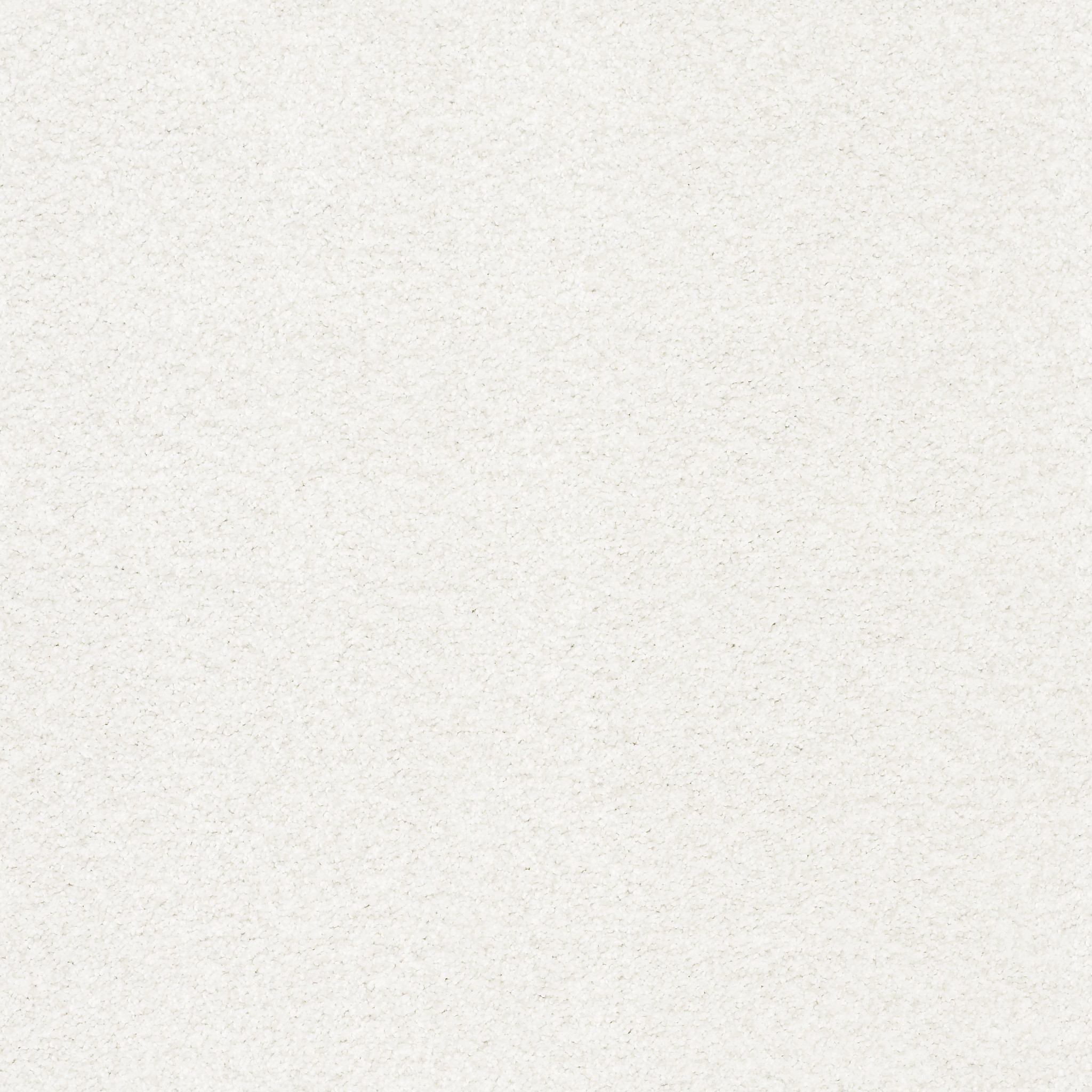 TONAL COMFORT BLUE GALLERY OPENING MAIN