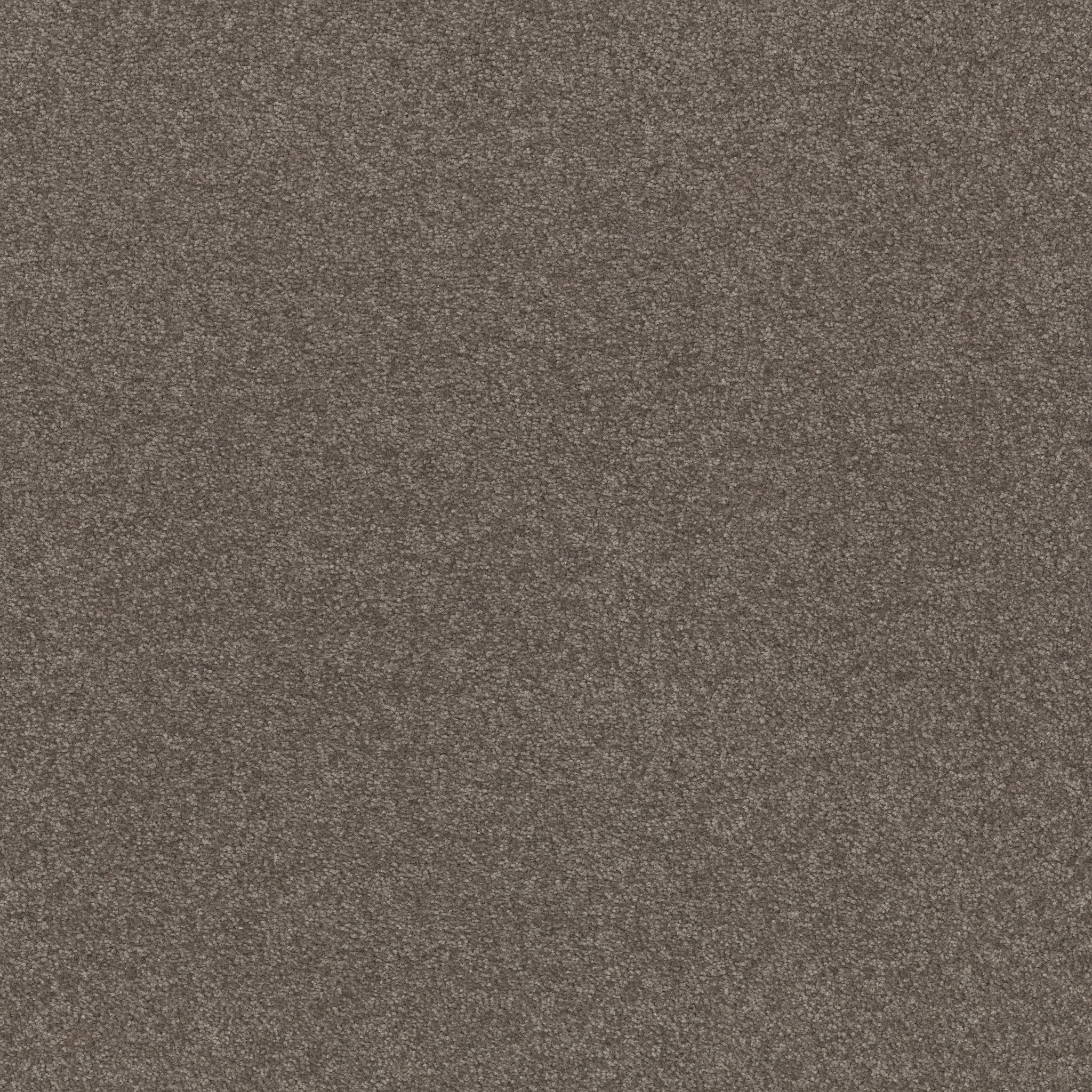 WELL GROUNDED II 15 PEWTER MAIN