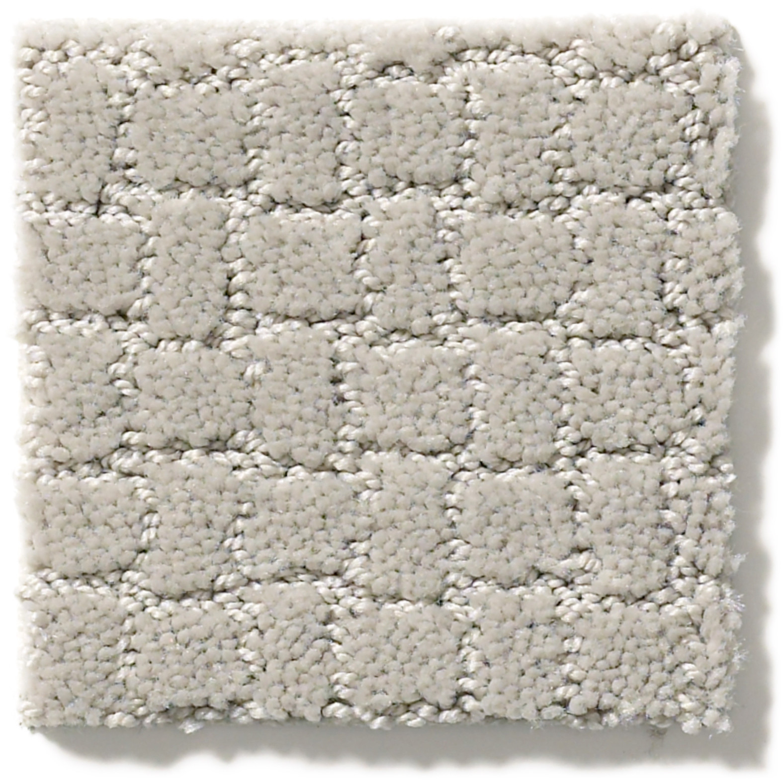 PAWSTRUCK CALM SWATCH