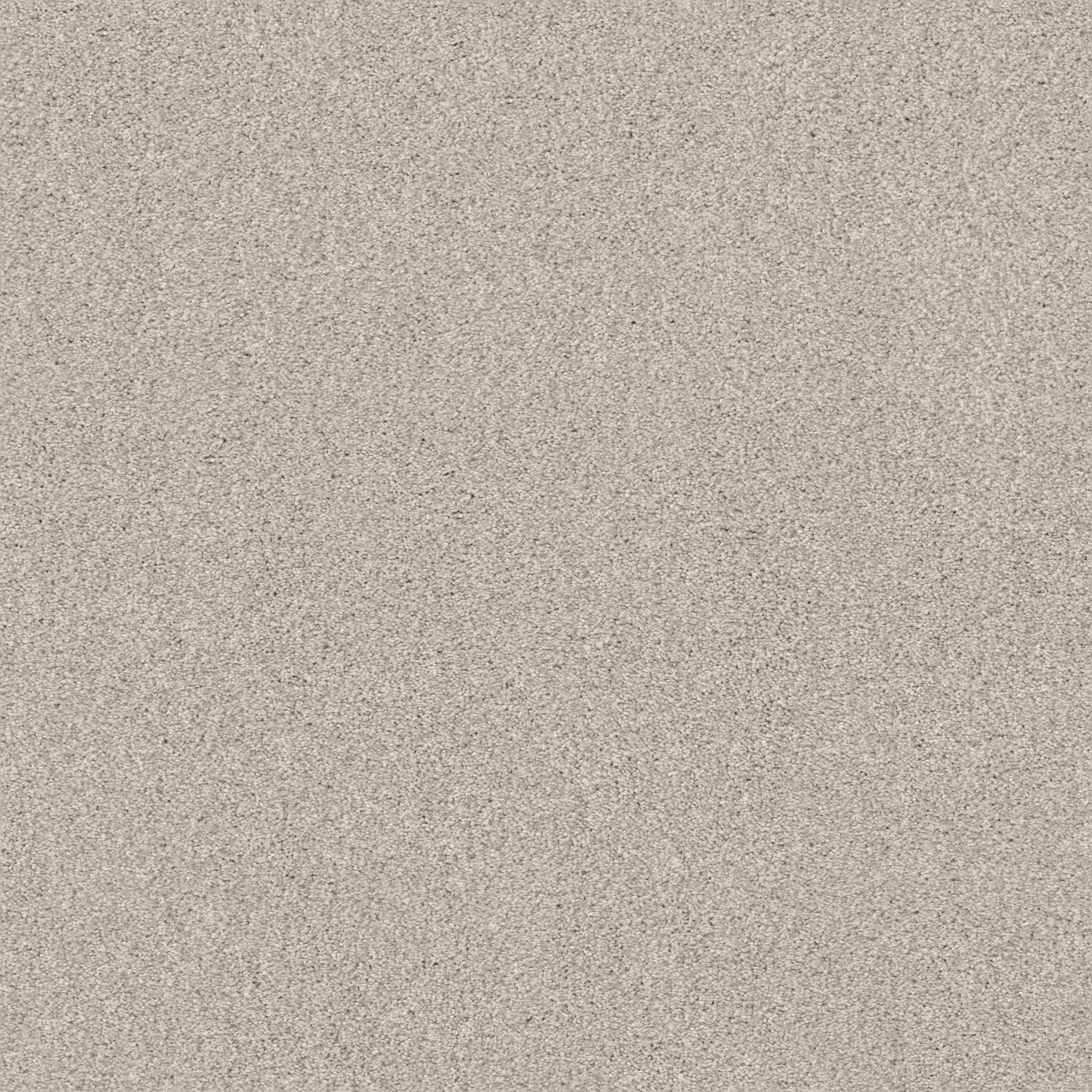 COZY HARBOR I THOUGHTFUL MAIN