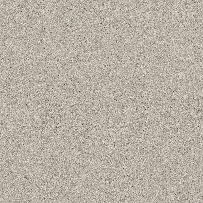 COZY HARBOR I in Thoughtful by Shaw Floors