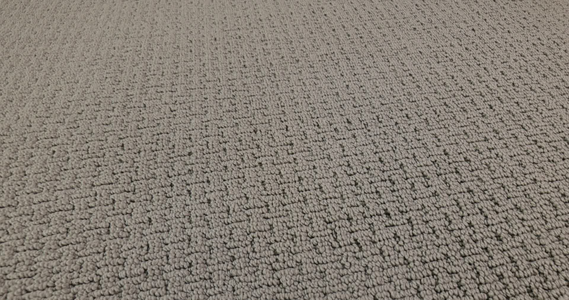 SAN SALVADOR GRAY WHISPER 360PROD