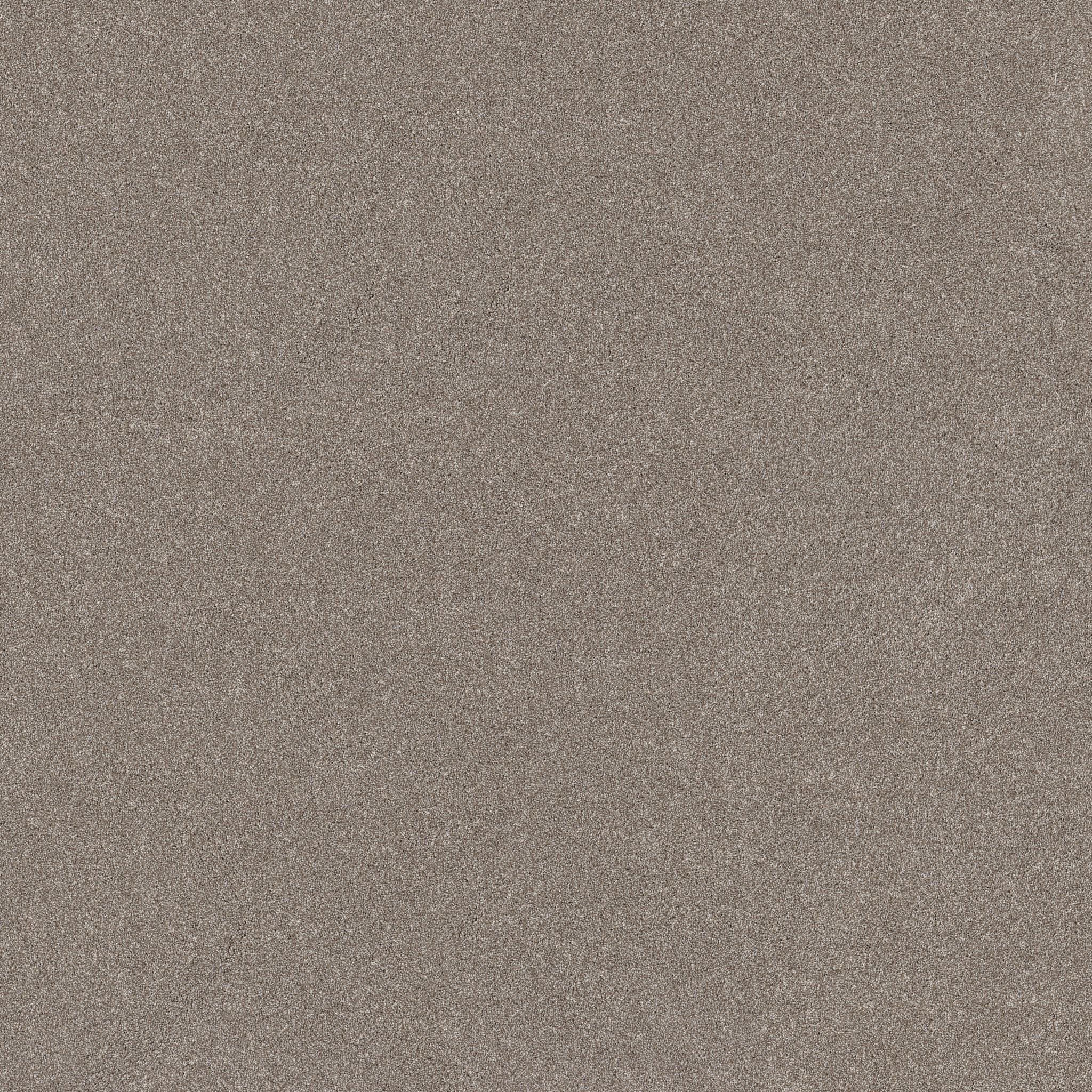 NEW MEMORIES T MOCHA MAIN