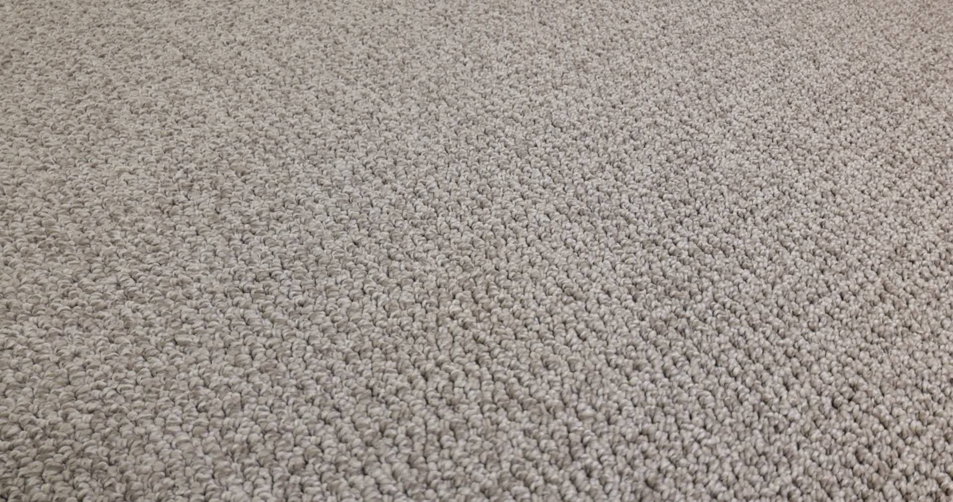 PURRFECTION FLAGSTONE 360PROD